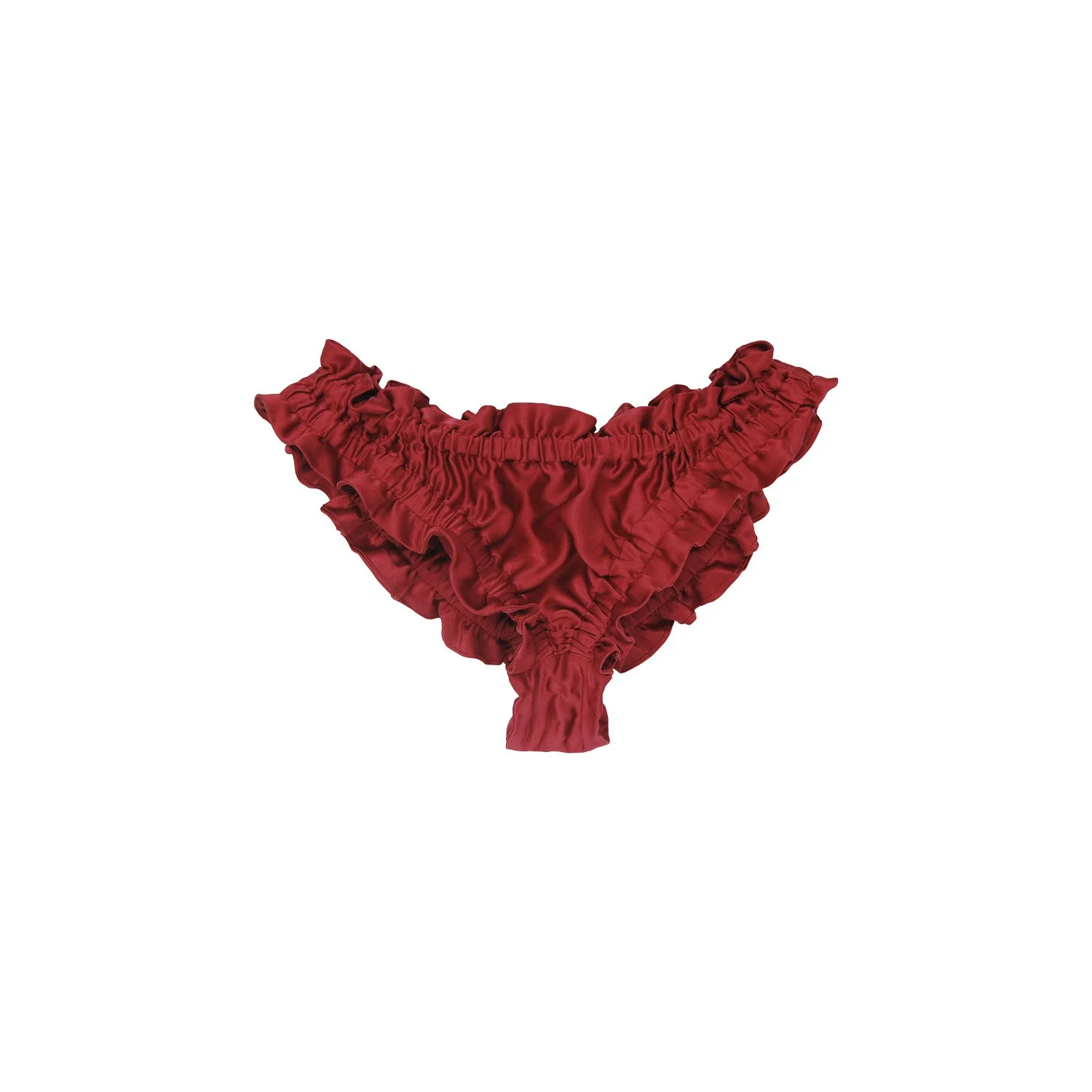 RED BRIEFS BACK.jpg
