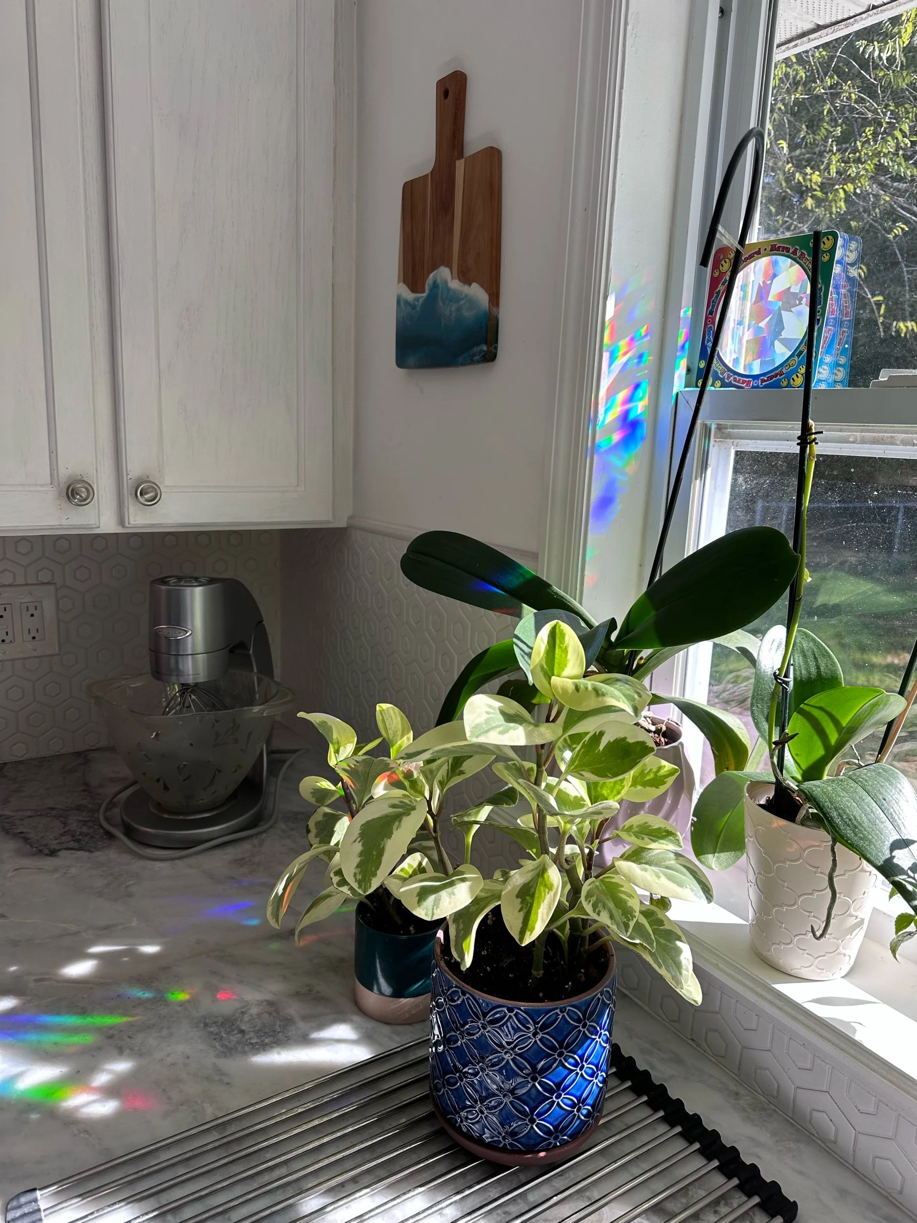 Decor: 20/twenty House [Kitchen] - - Before and After 2023