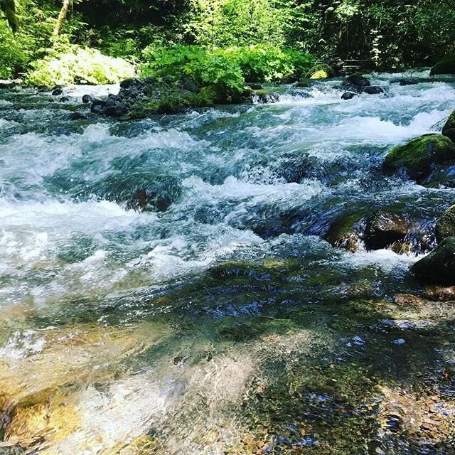 My Hood River Dream (courtesy of @mcscarlane