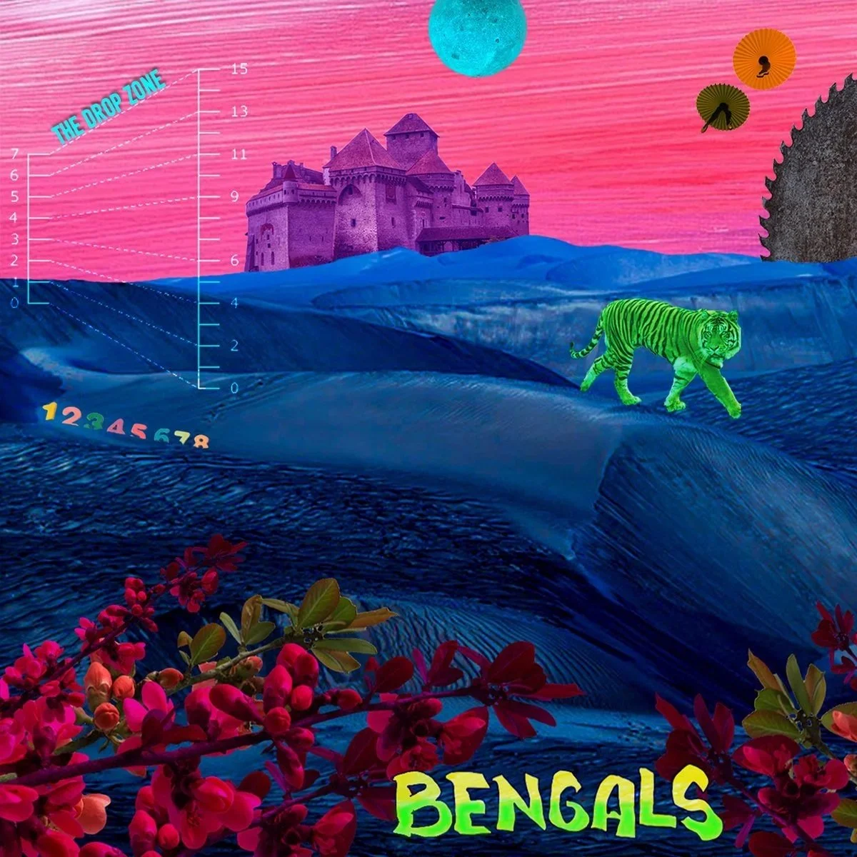 image-asset.jpg