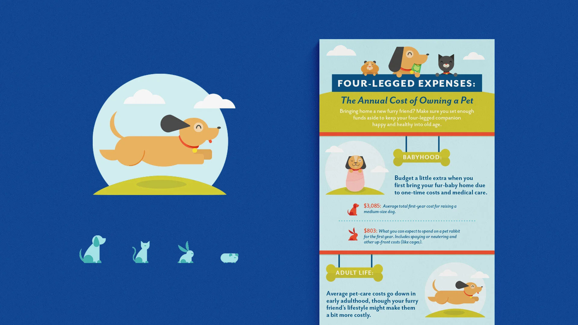 PetInfographic_Mockp.jpg