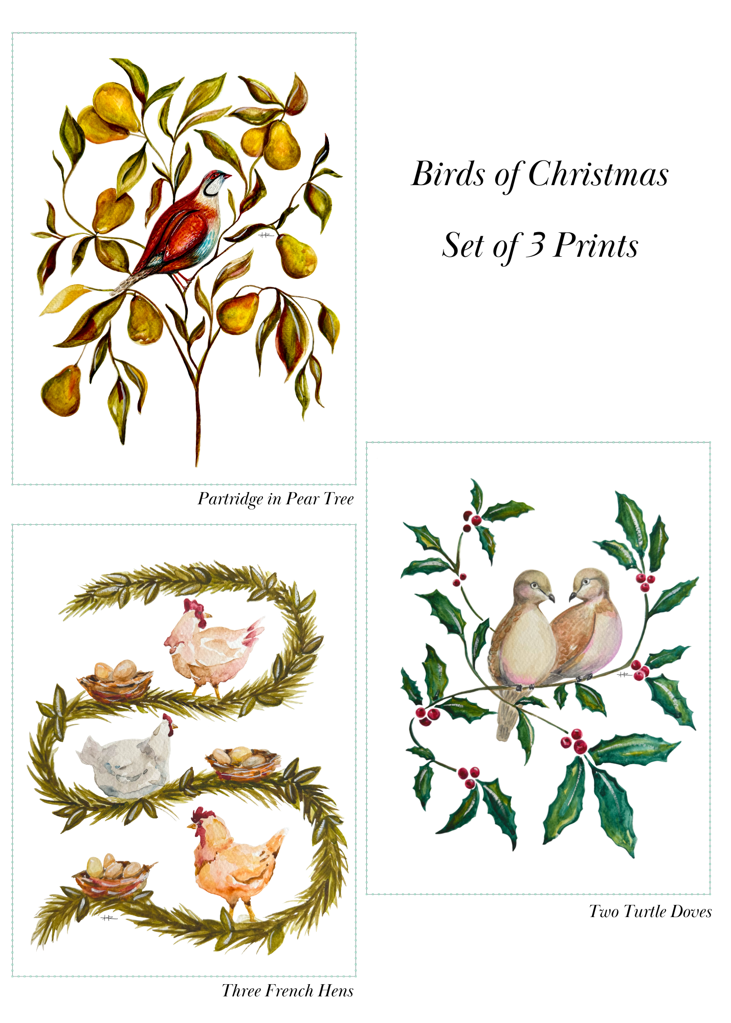 Birds of Christmas.png