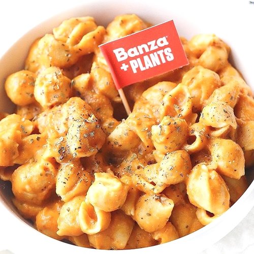 Pumpkin Pasta Sauce