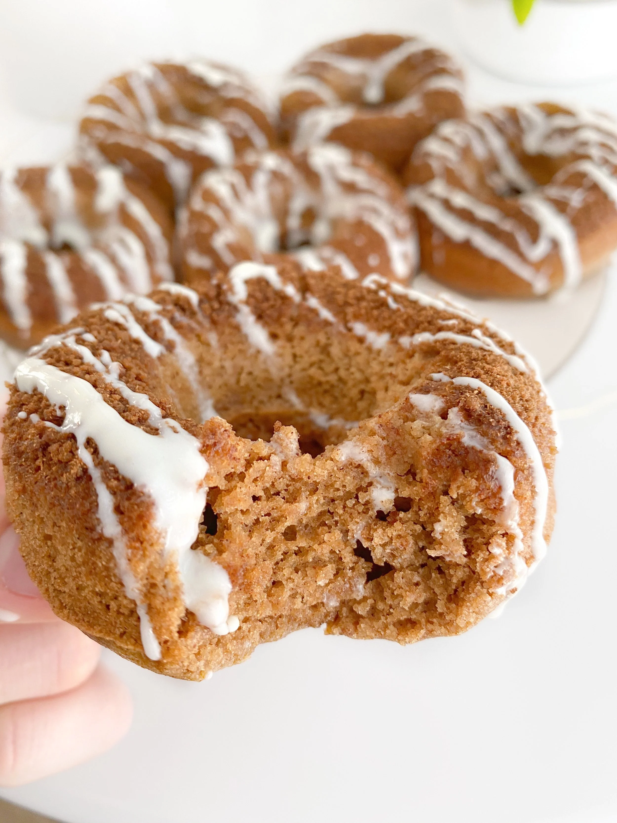 Apple Cider Donuts