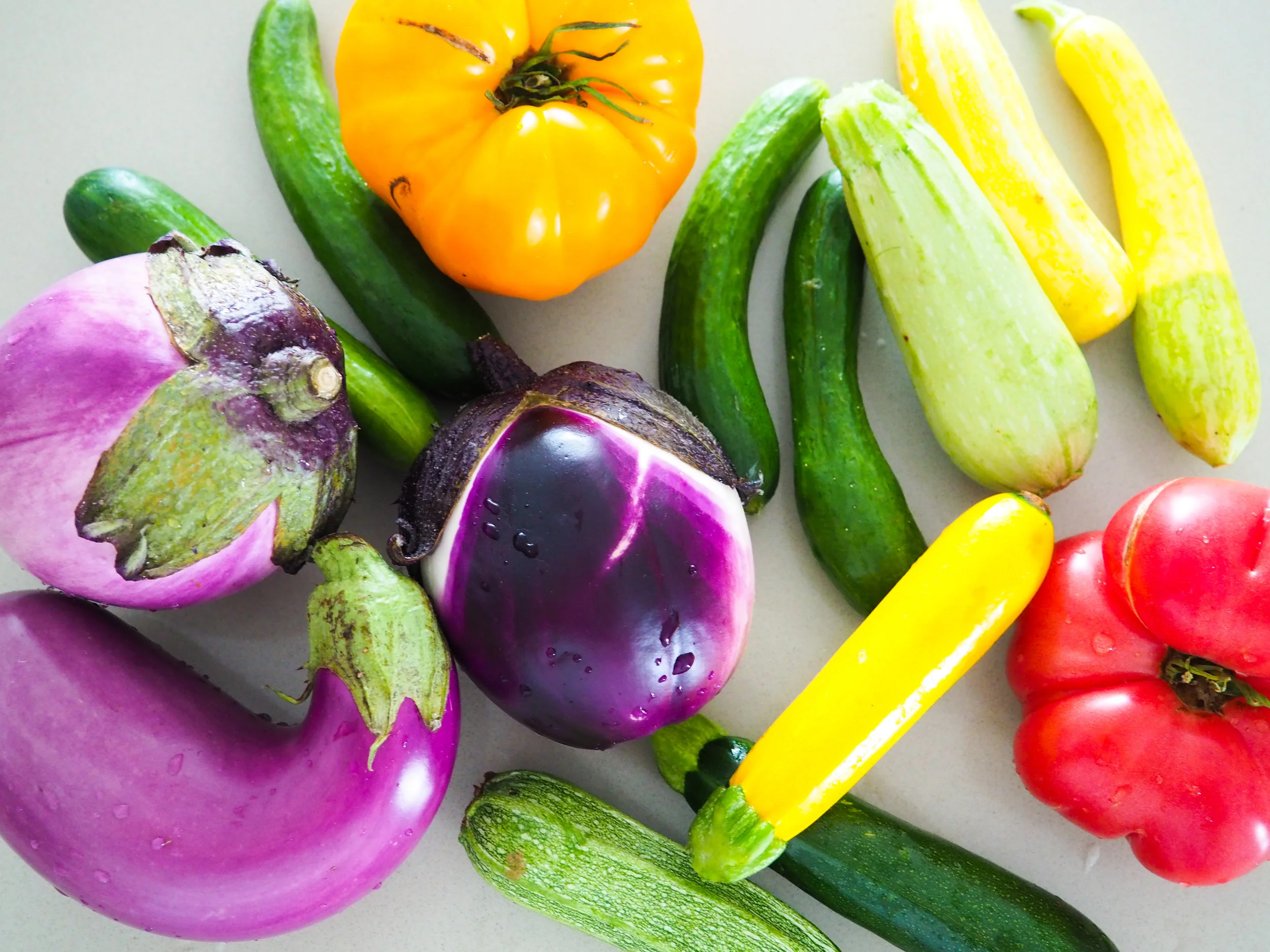 Farmer’s Market Tips for Seasonal Abundance