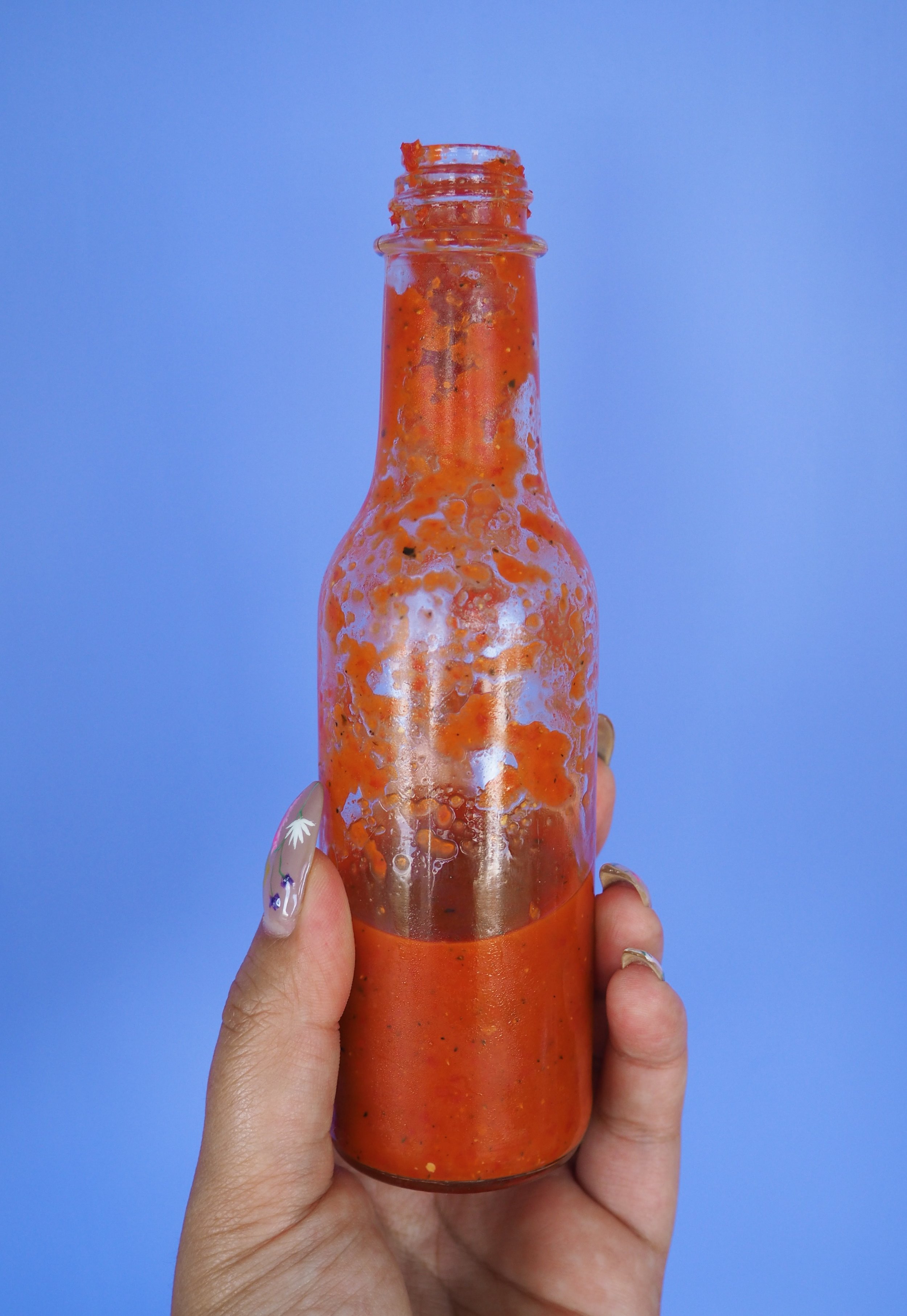 Lacto-Fermented Hot Sauce