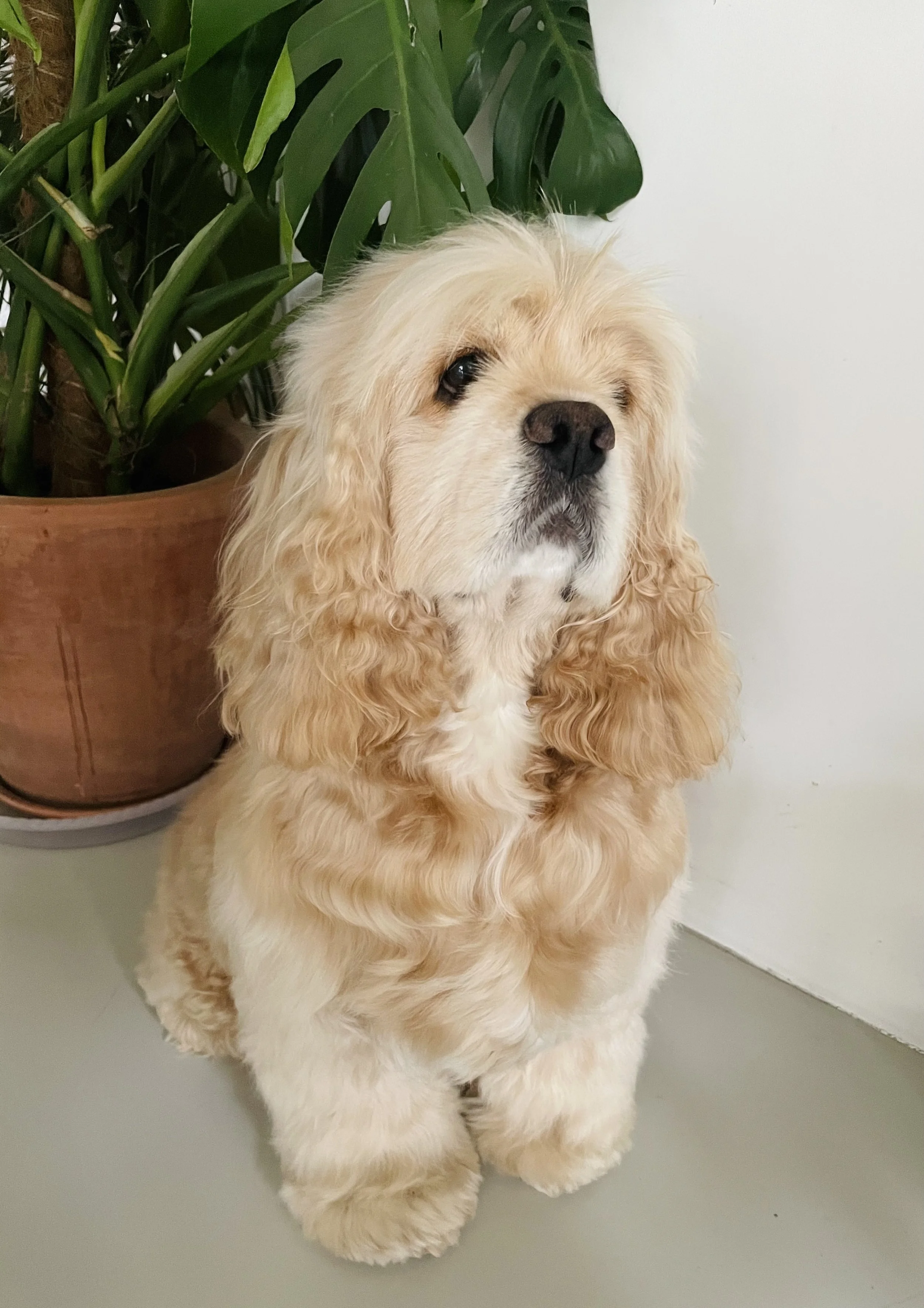 Knit Nights • No. 22 • January • 09 • 2026