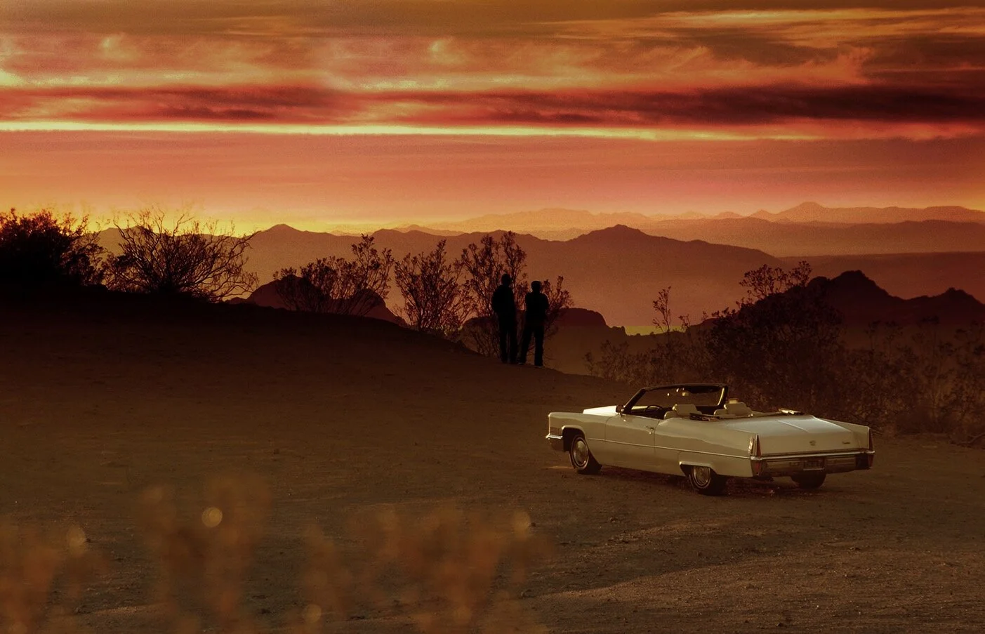 ADRIAN WROTH | INSTAGRAM  | WEBSITE