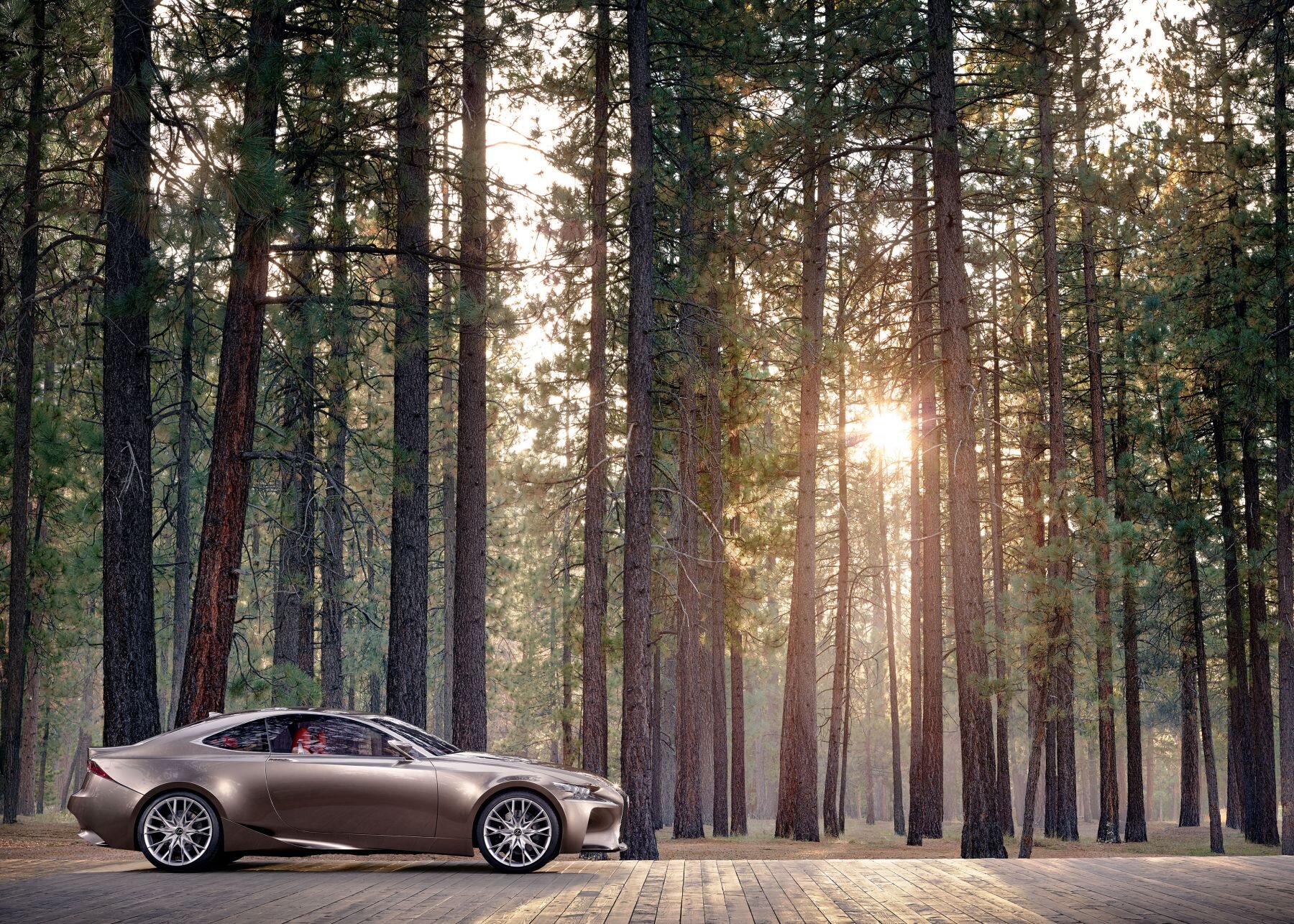 GREG WHITE | INSTAGRAM | WEBSITE