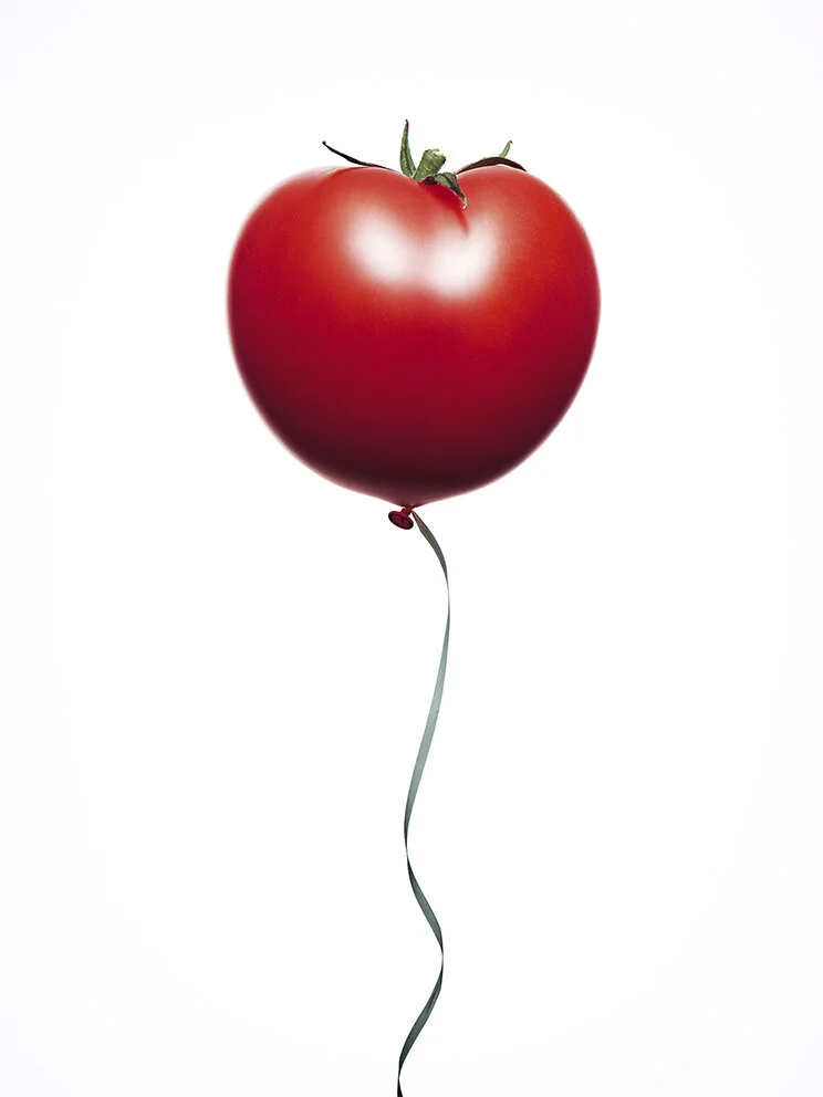 DAVID GILL | WEBSITE