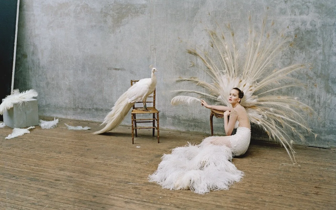 TIM WALKER | WEBSITE