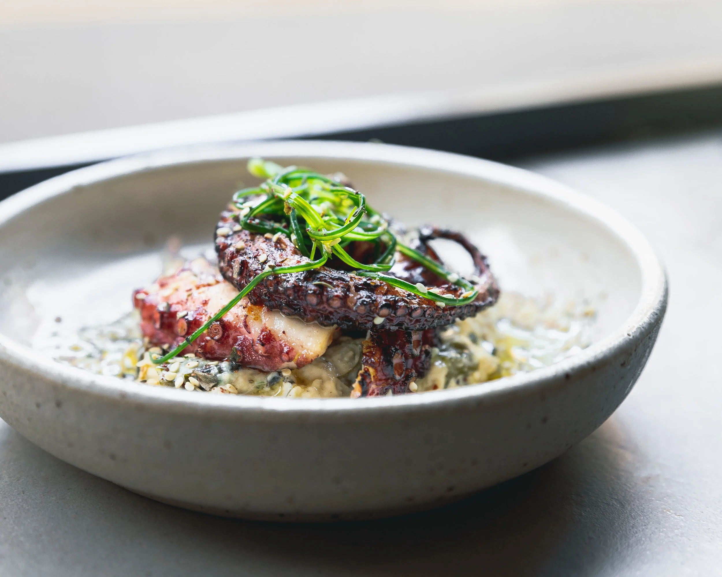 Octopus Seafood Food Photography