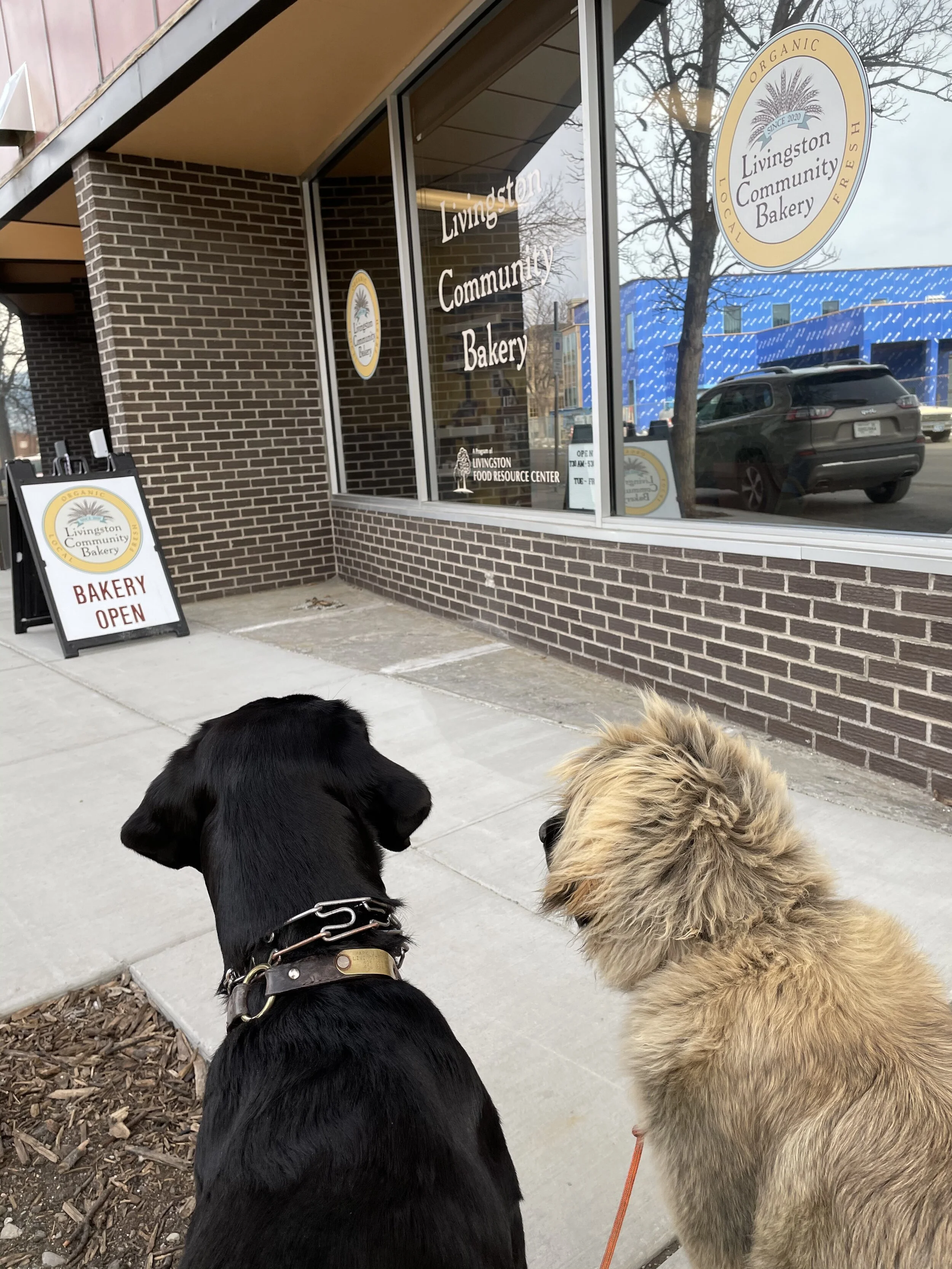 Two ways to stimulate Livingston's local economy