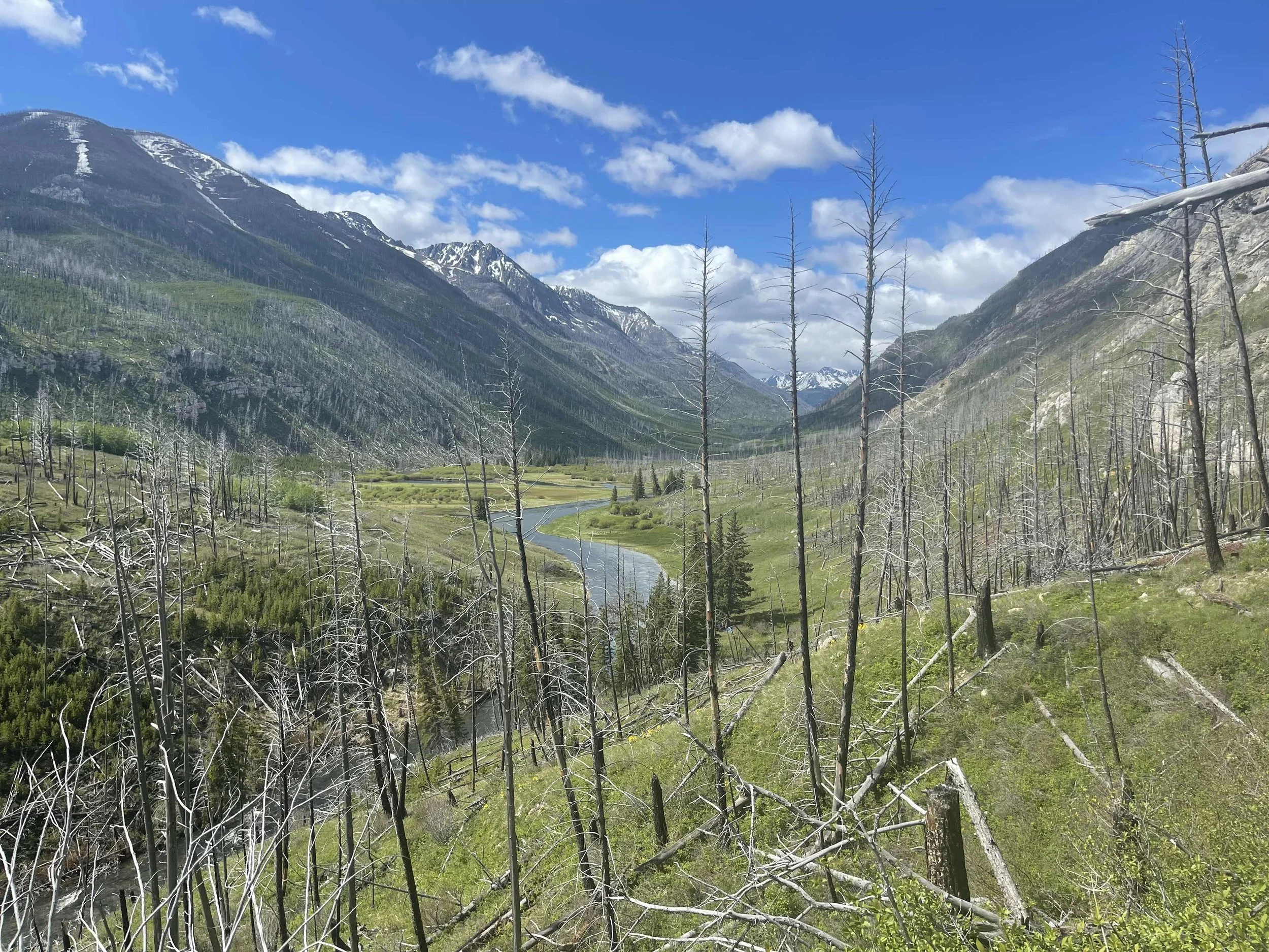 Join PCEC for these June events!