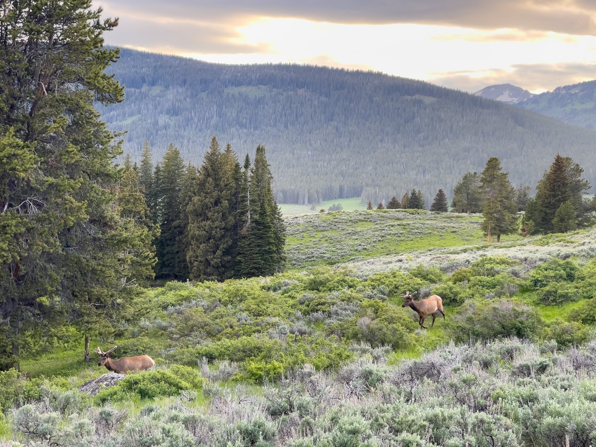 Join PCEC for these July events!