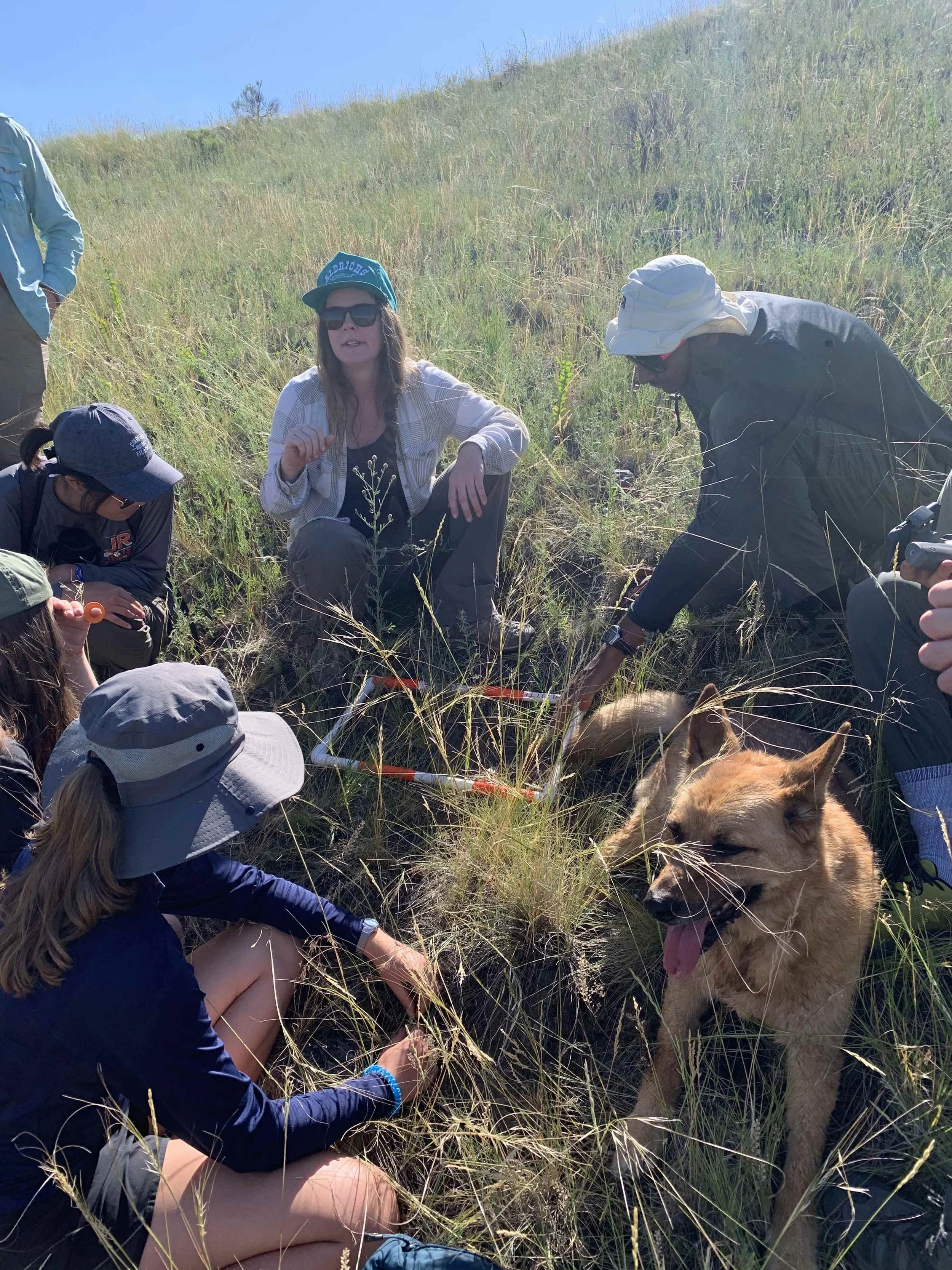 Do you #GiveAHoot about Native Plants? (And some upcoming events!)