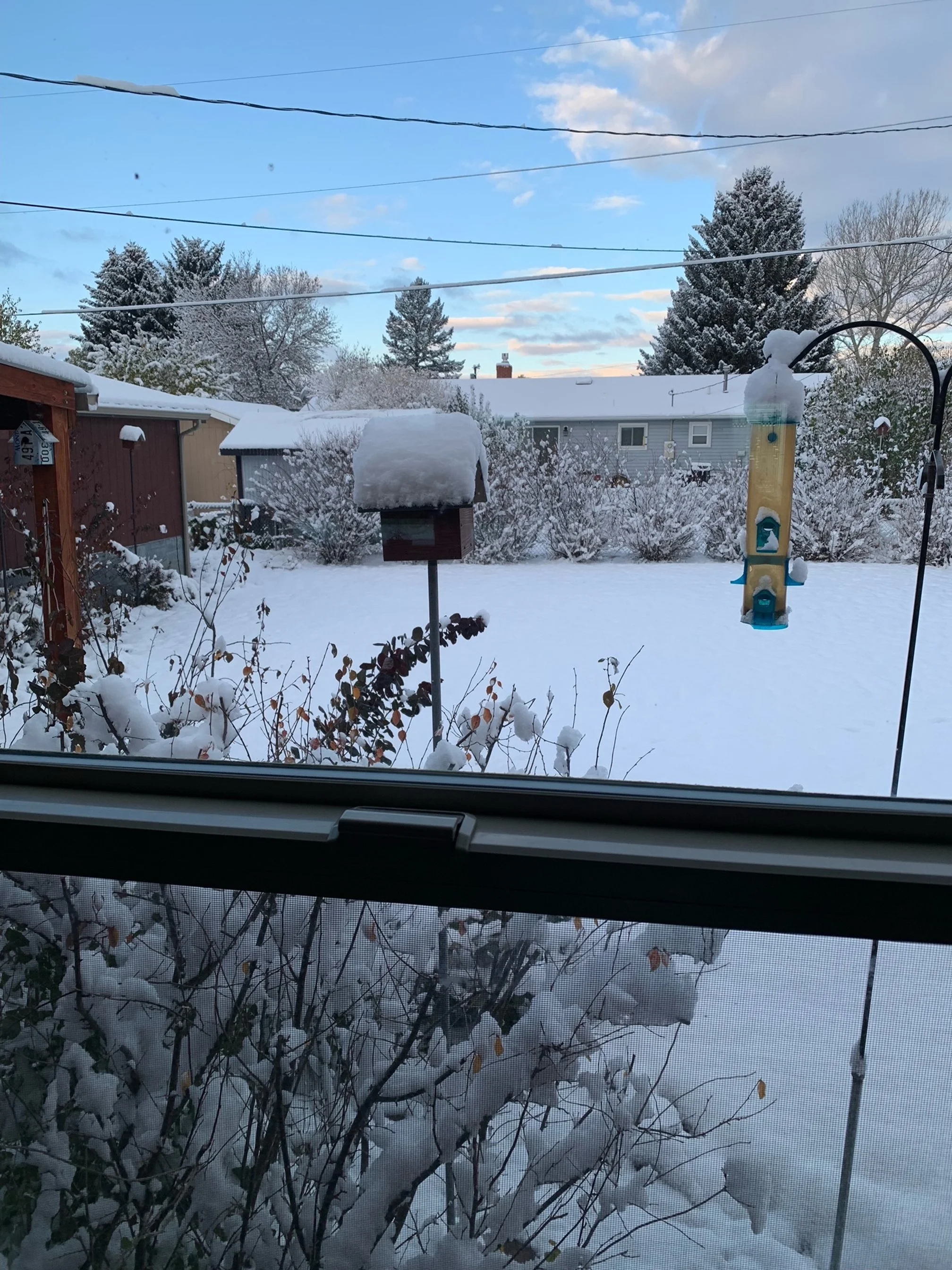 Sharing an event on climate resilience