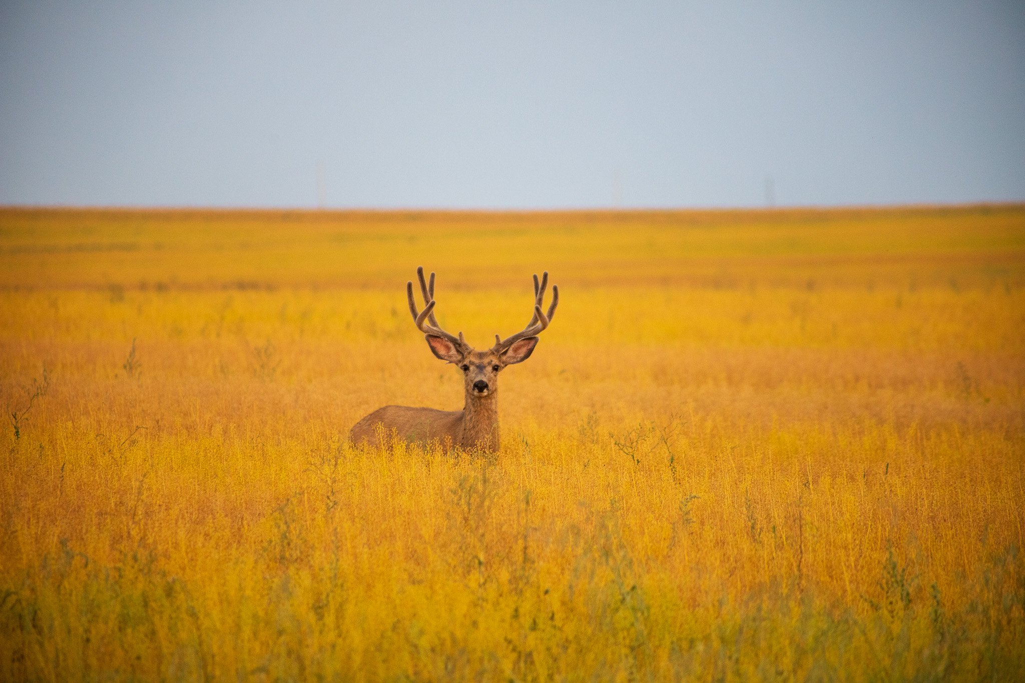 Join PCEC for these August events!