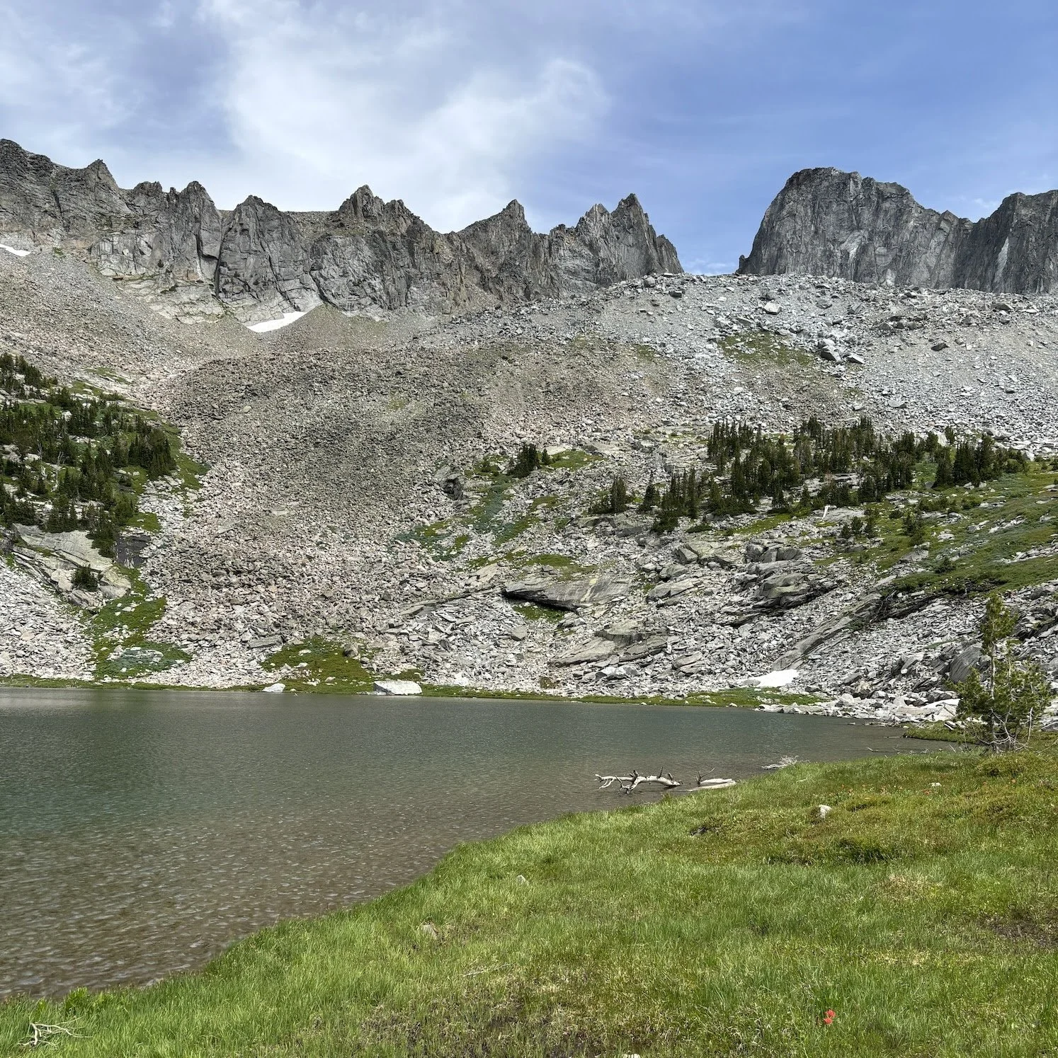 Celebrating Our Public Lands