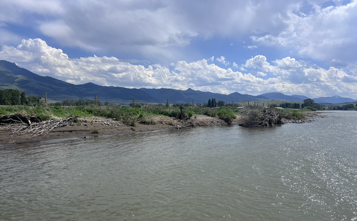 Collaborating on Cows and Creeks