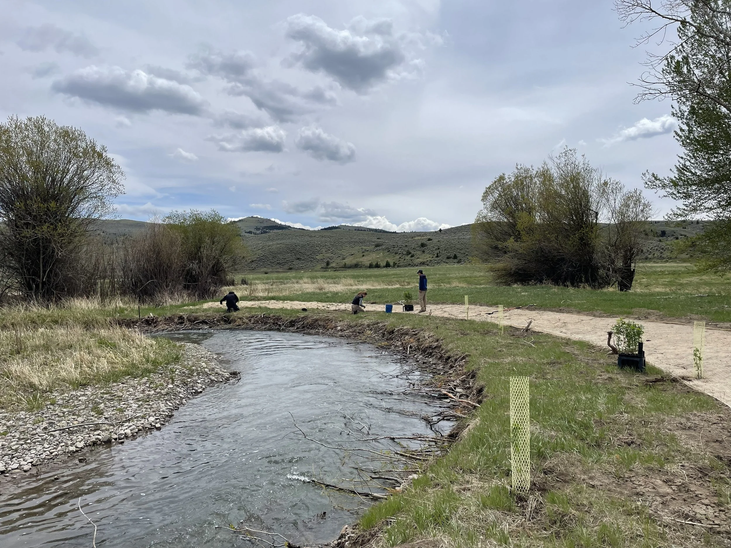 Community Stewardship Field Day