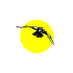 ravsun.png