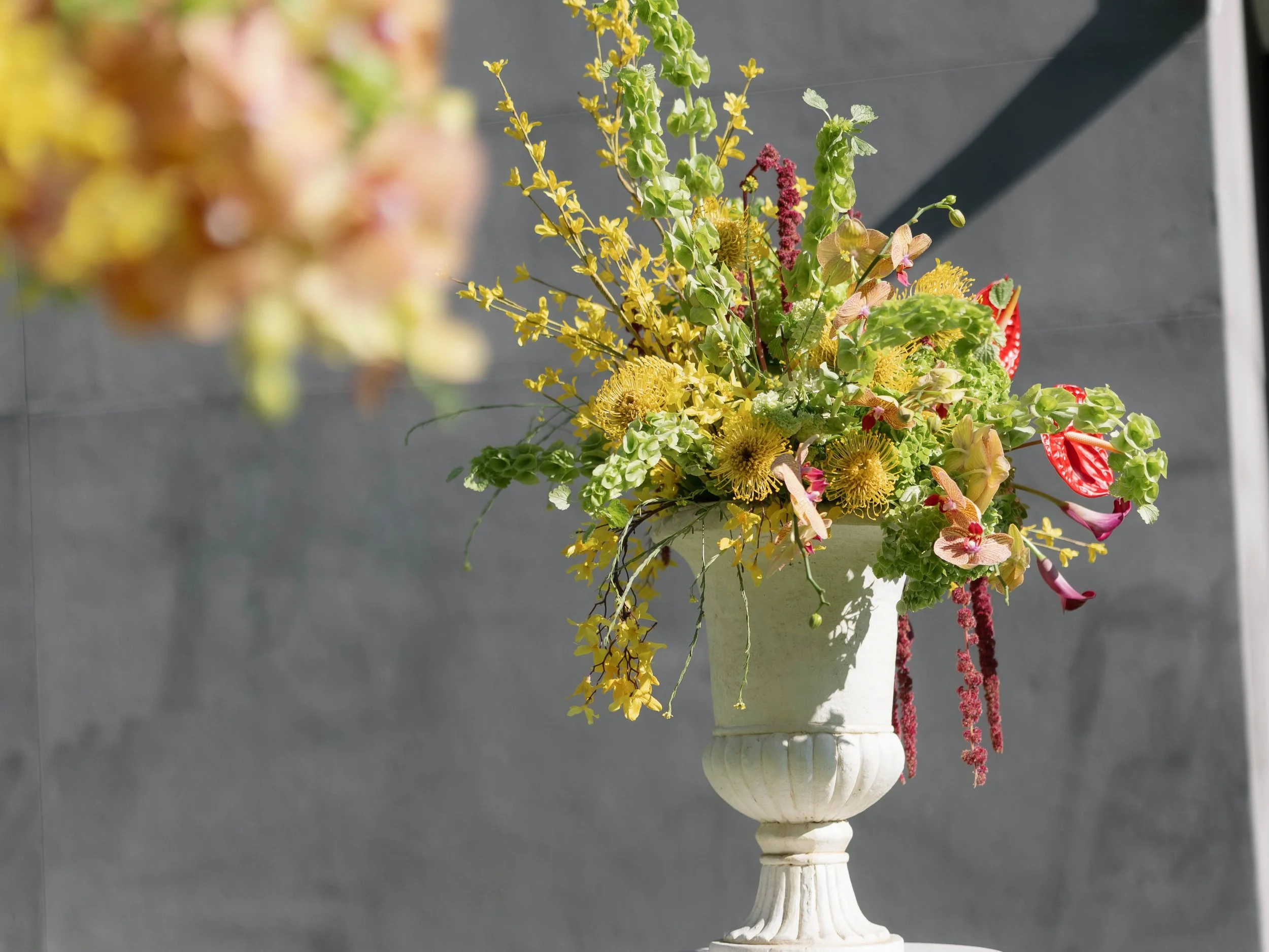 Caroline Eliza Co-75.JPG