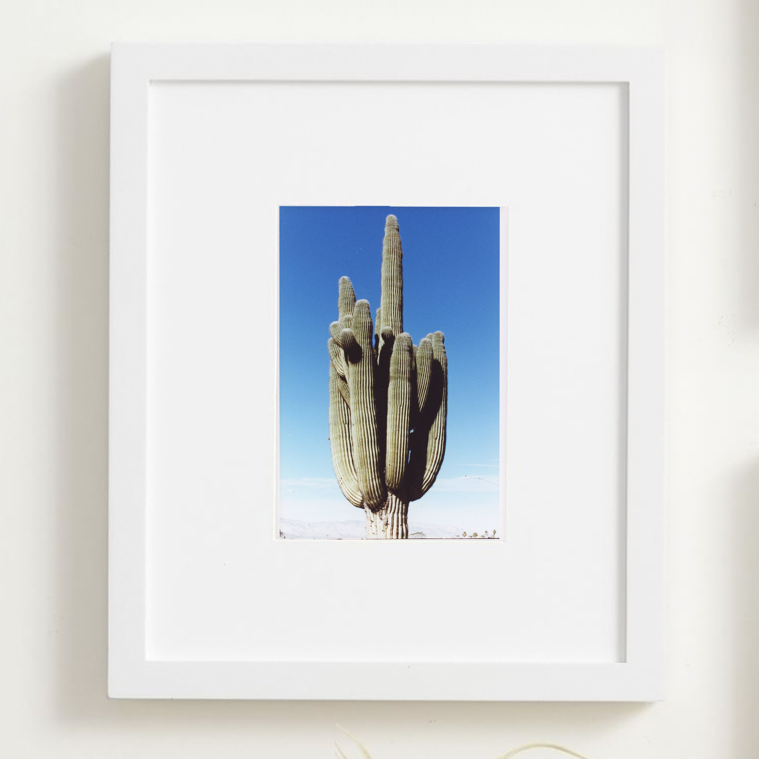 Untitled-1.jpg