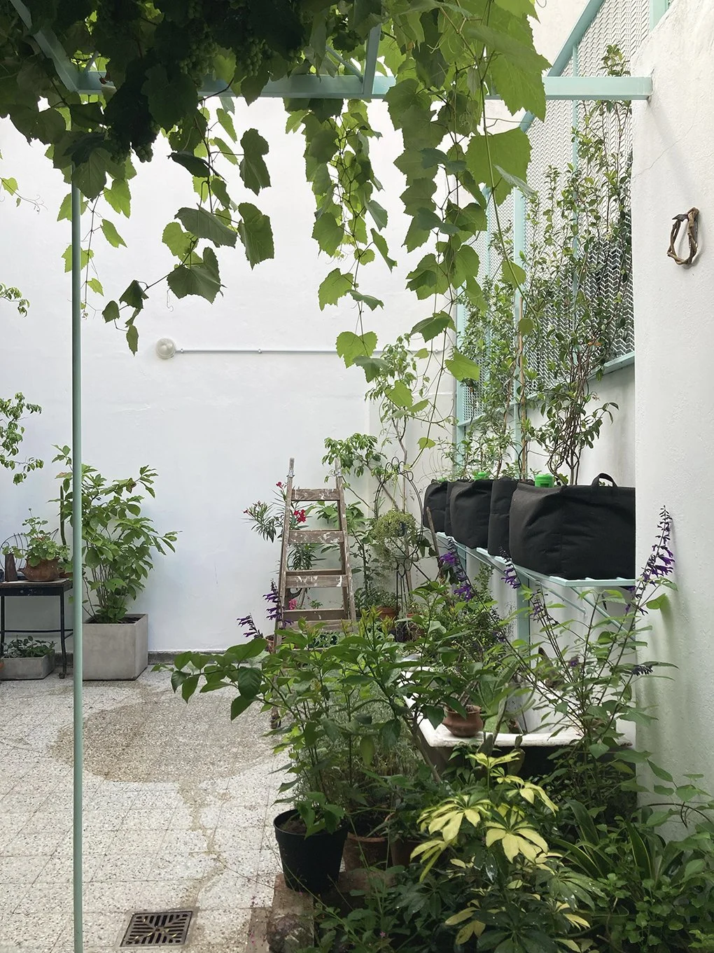 detalle patio 2.jpg
