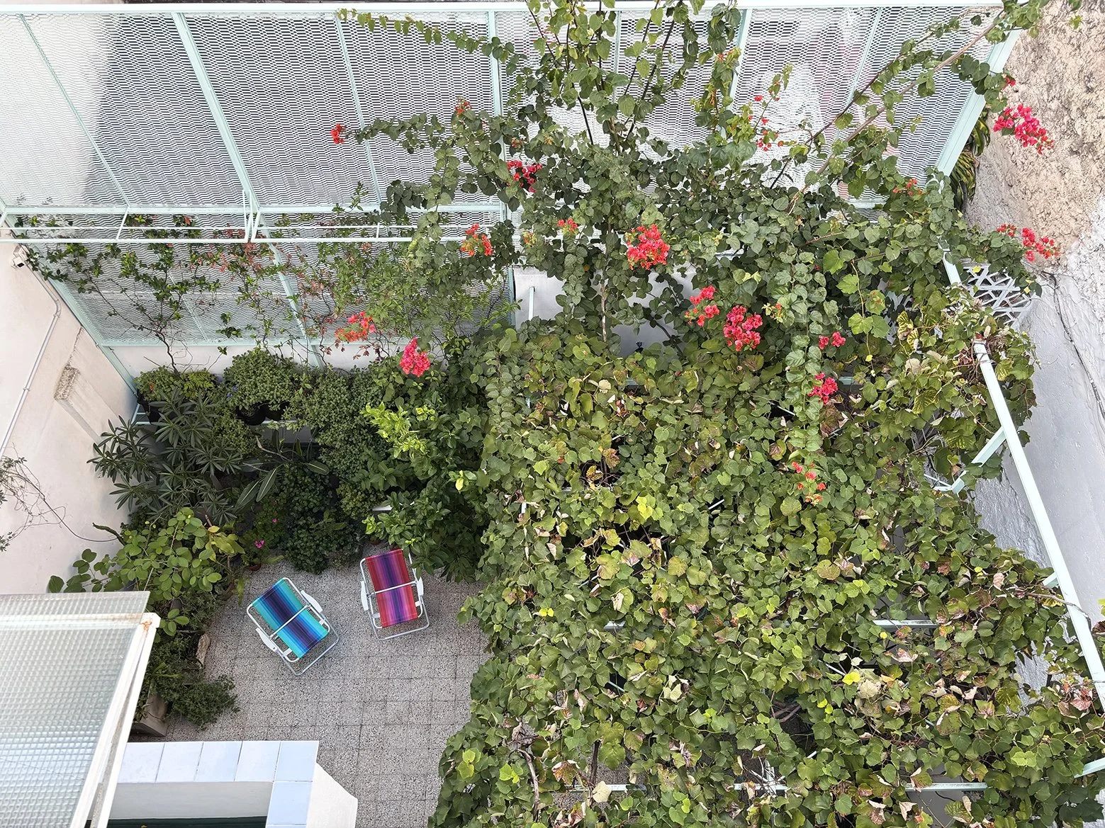 patio en planta 2.jpg