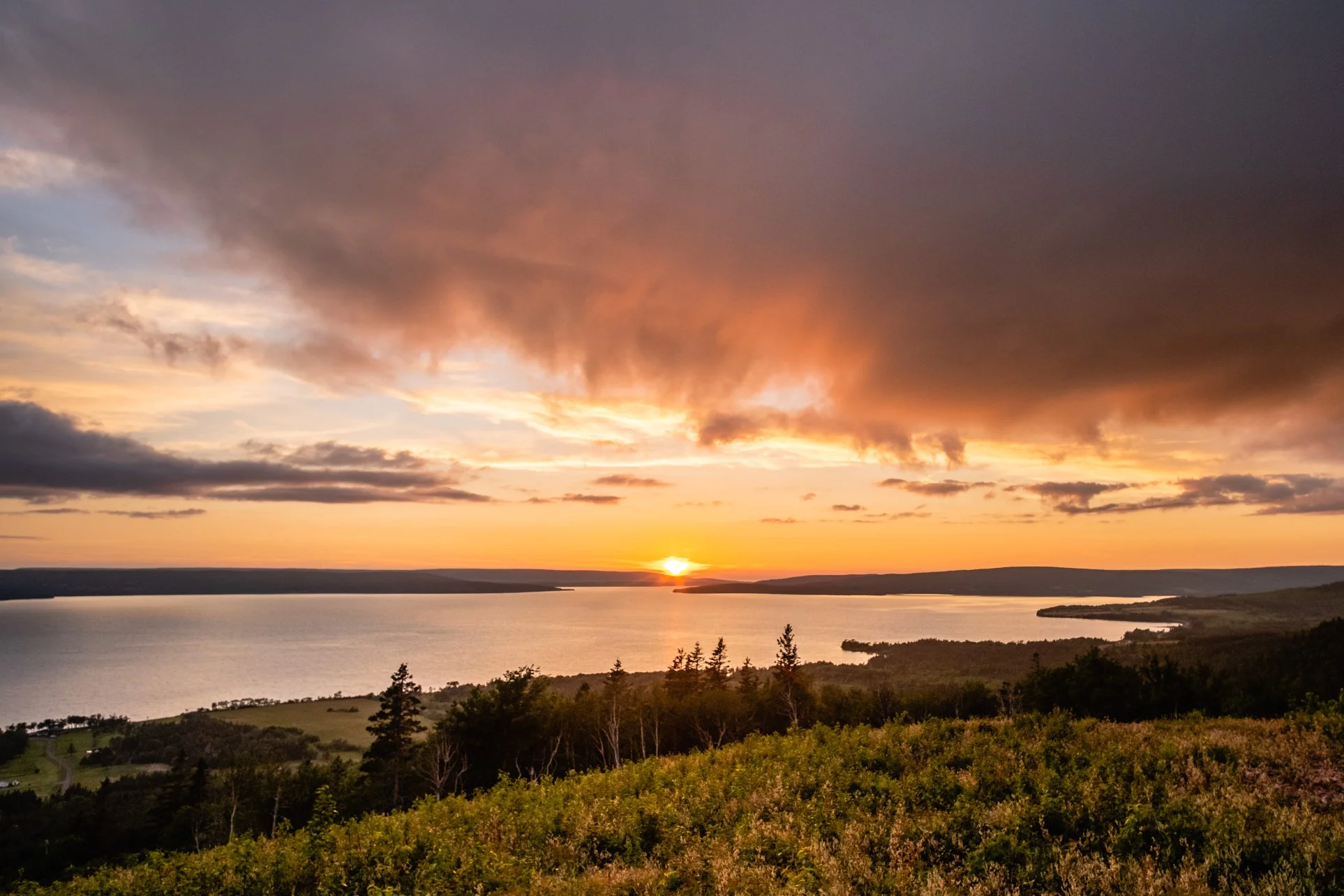 We want to hear from you!