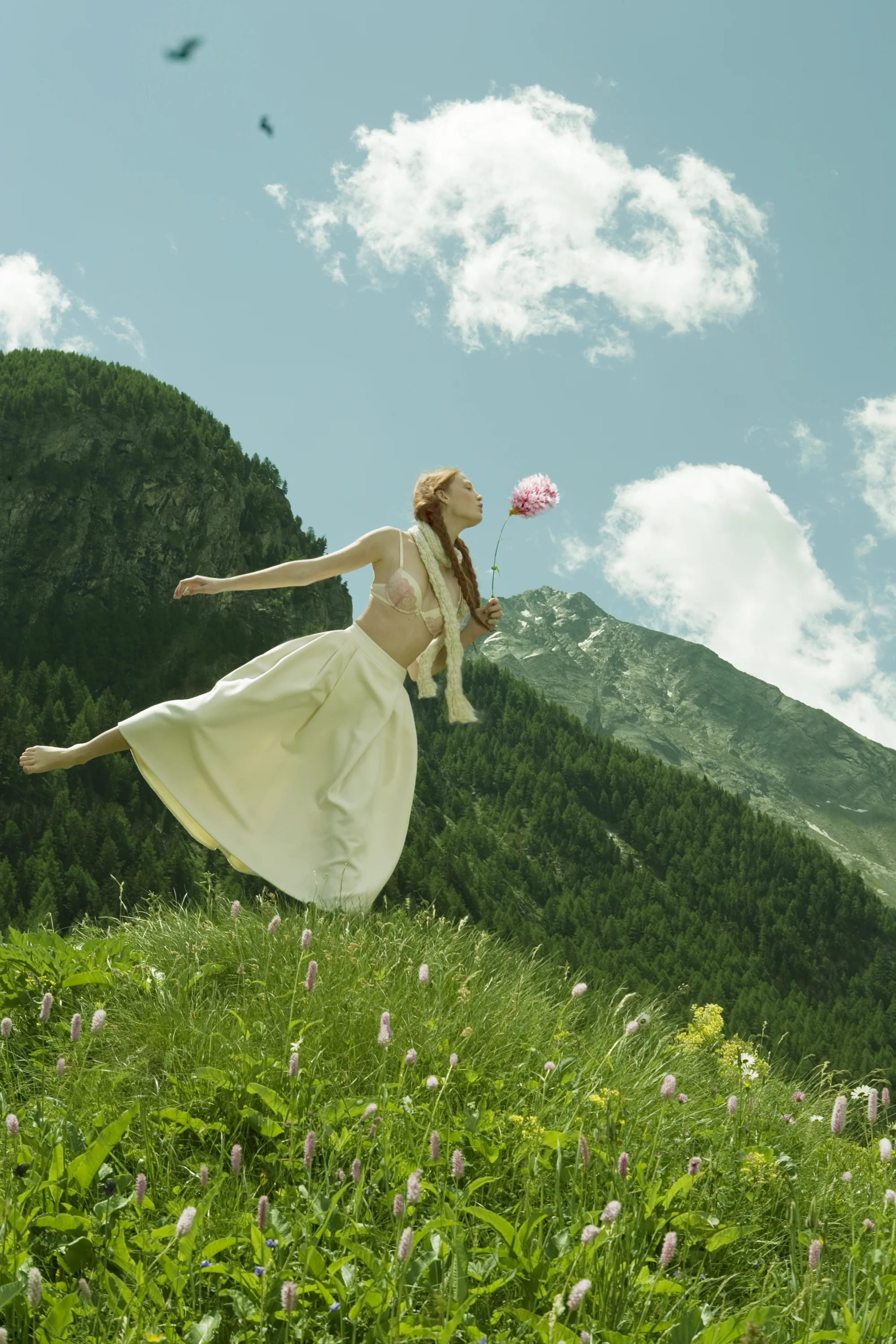 dandelion clock flat.jpg