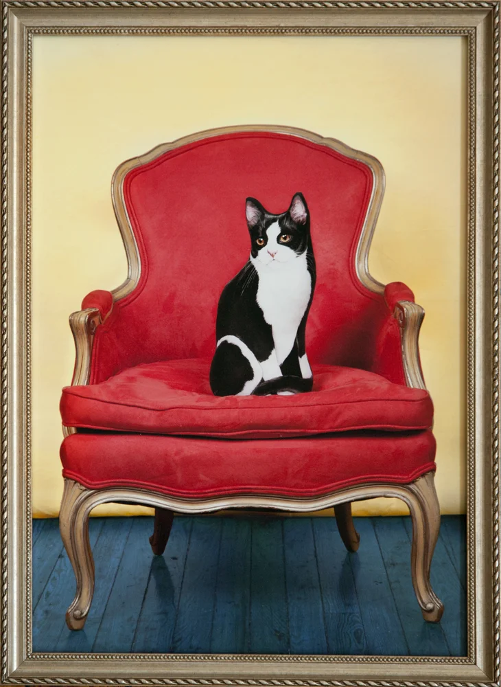 Cat in Chair