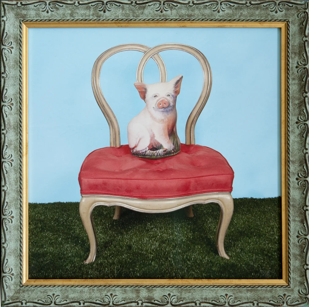 Pig in Chair