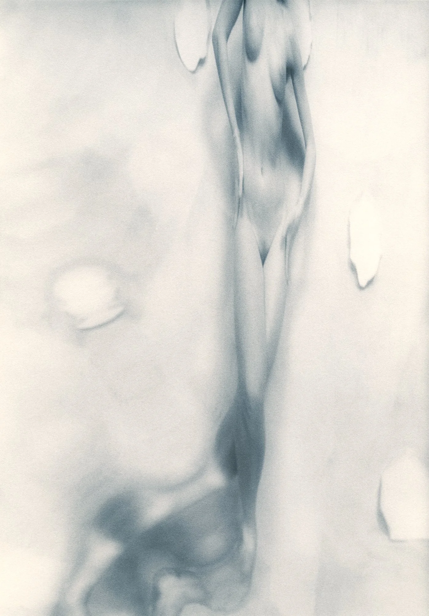 Legs, 1997, gold-toned silver gelatin print, w:8’’ h:10’’