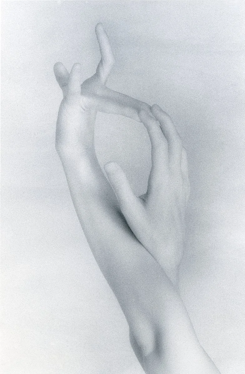 Wishbone

 

 2004, gold-toned silver gelatin print   Limited number of prints still available.  