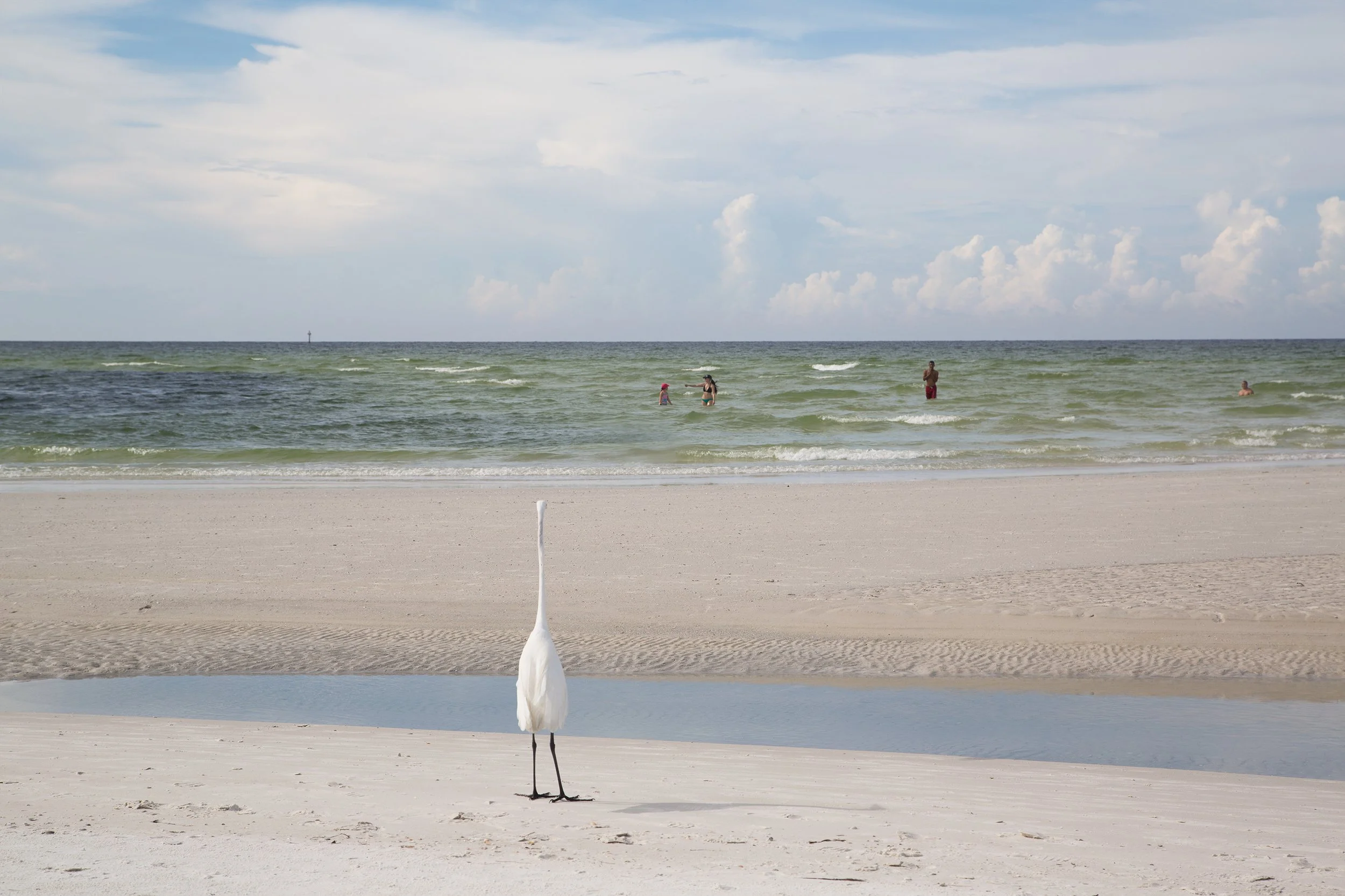 Bystander

 

 2013, metallic print, w:10.5’’ h:7’’ 