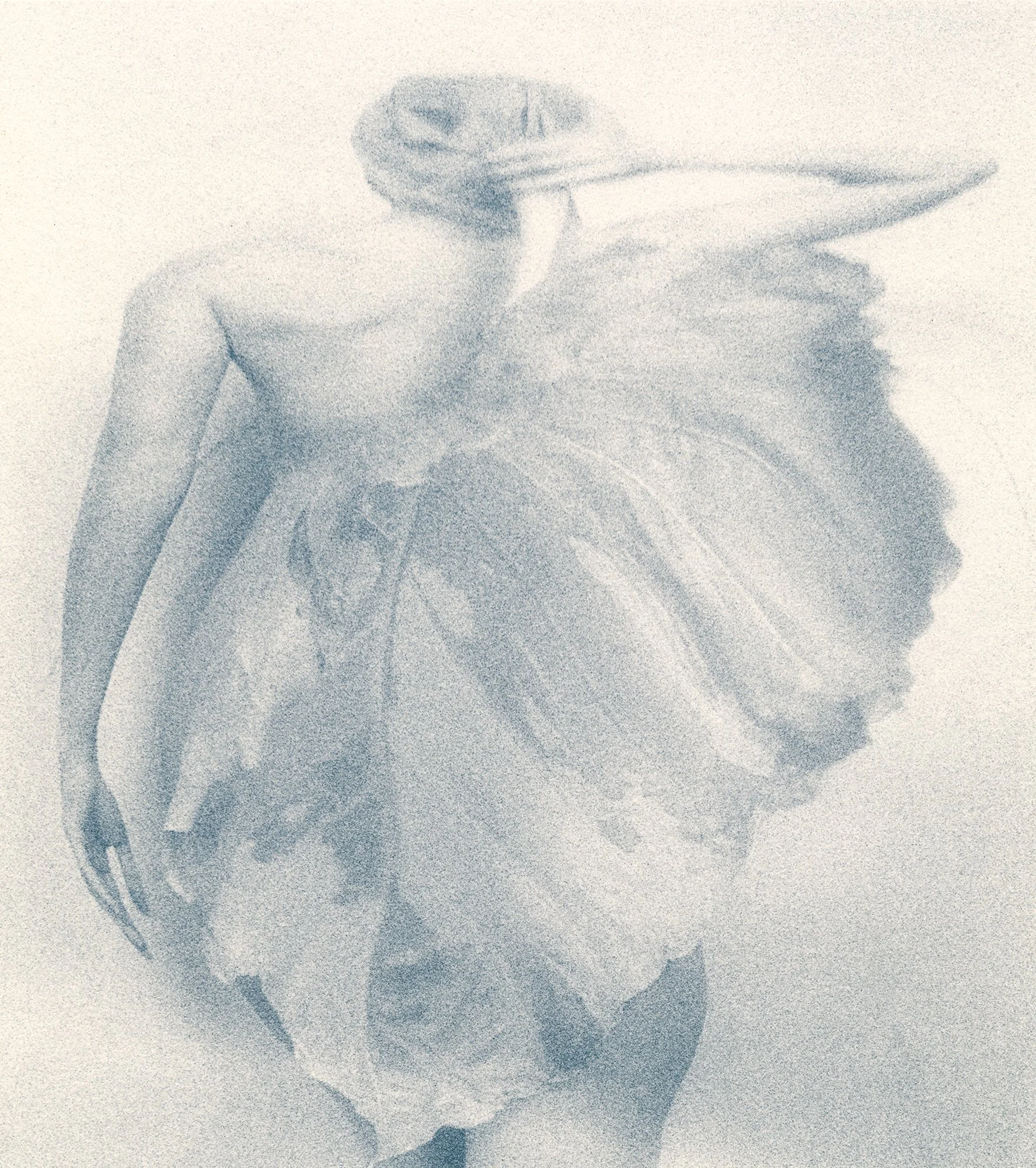 Leaf, 1997, gold-toned silver gelatin print, w:8’’ h:10’’