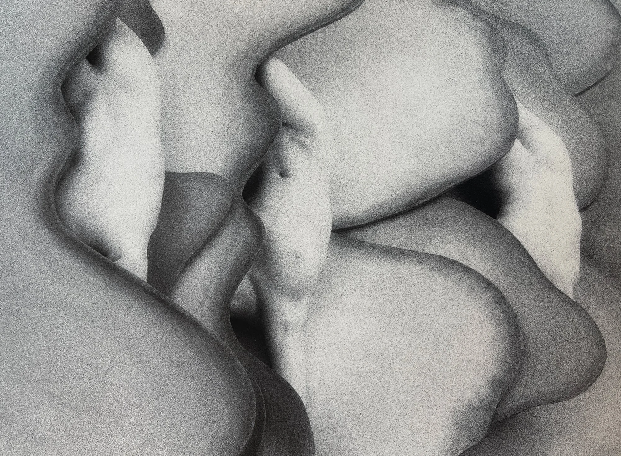Sandflowers II

 

 1989, archival pigment print 