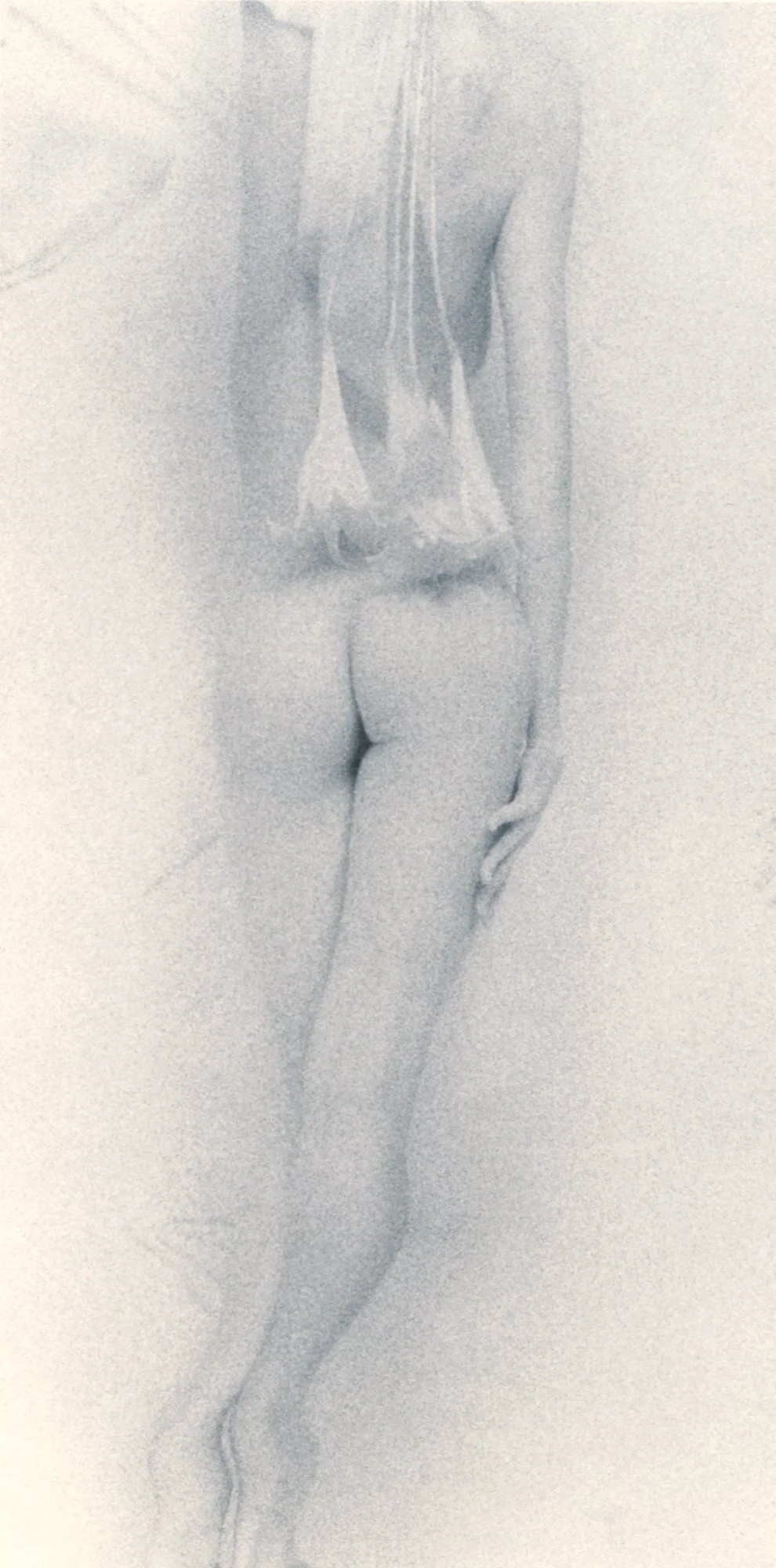 Woman with Lilies, 1997, gold-toned silver gelatin print, w:8’’ h:10’’