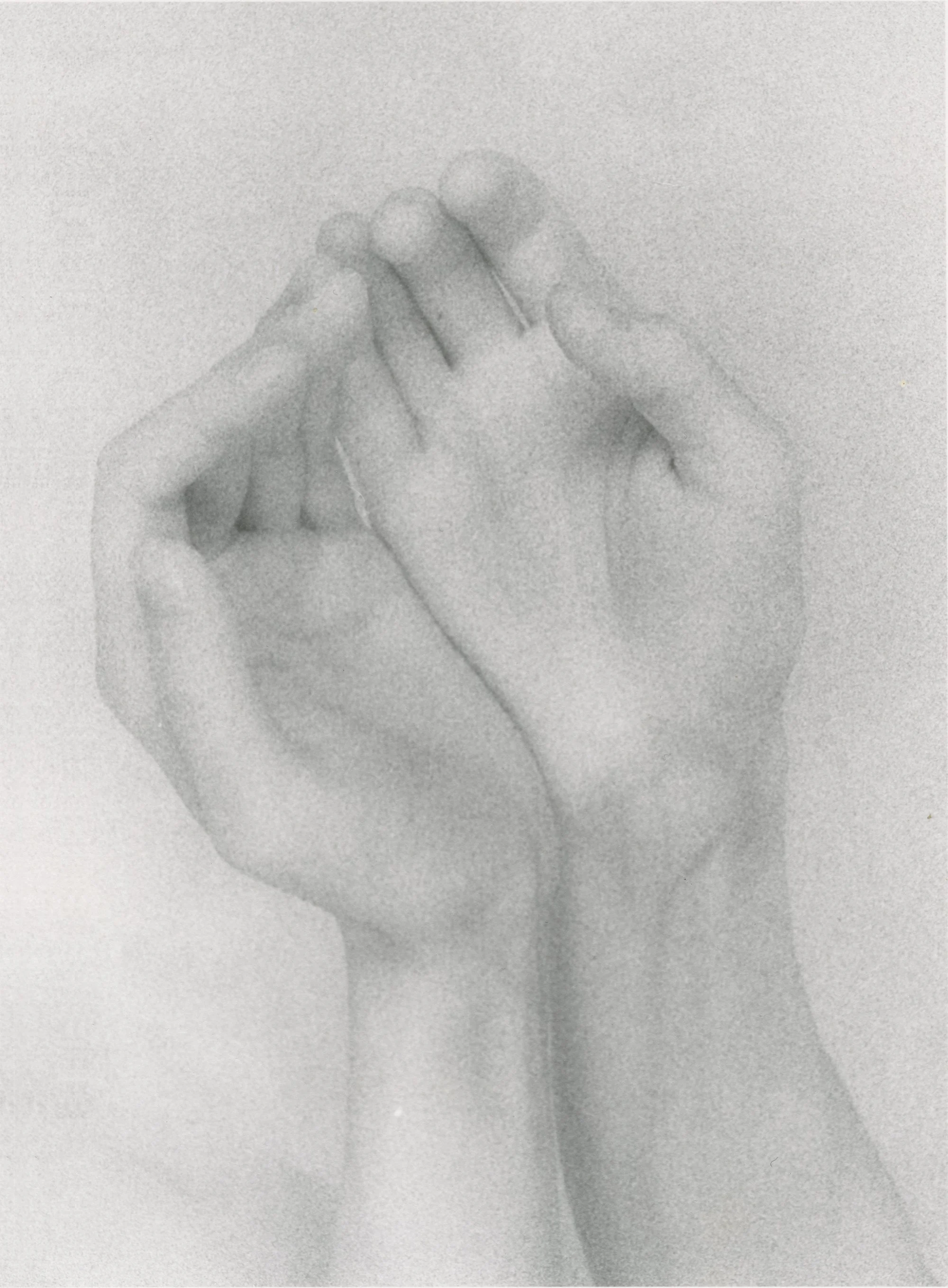 We Ask

 

 2004, gold-toned silver gelatin print   Limited number of prints still available.  