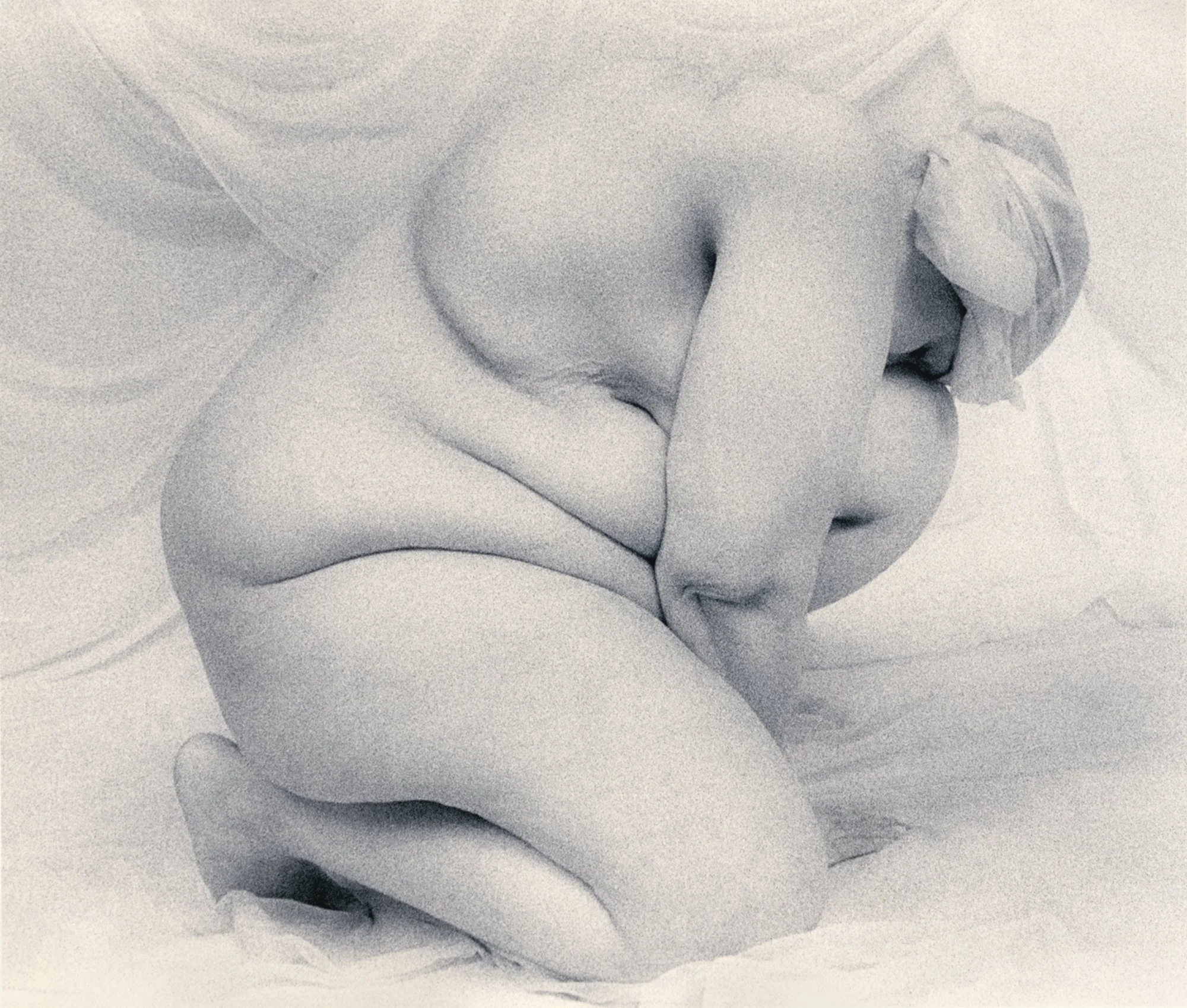 Rock, 1998, gold-toned silver gelatin print, w:20’’ h:16’’ and w:24” h:20”