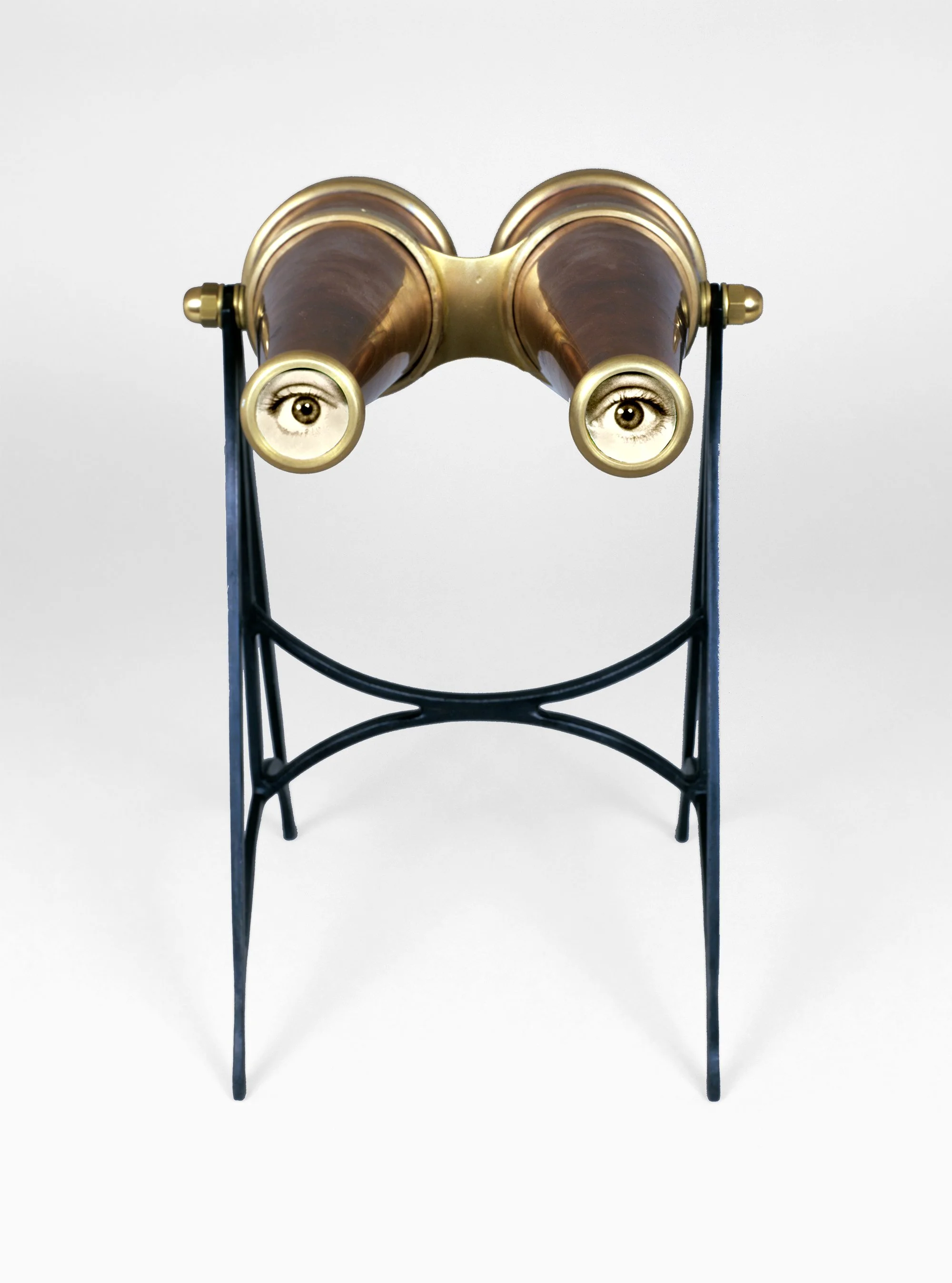 Binoculars - Detail

 

 2003, silver gelatin print toned with tea and mixed media, w:2.5” to 4.5” h:5.25” to 9” d:4” to 5” 