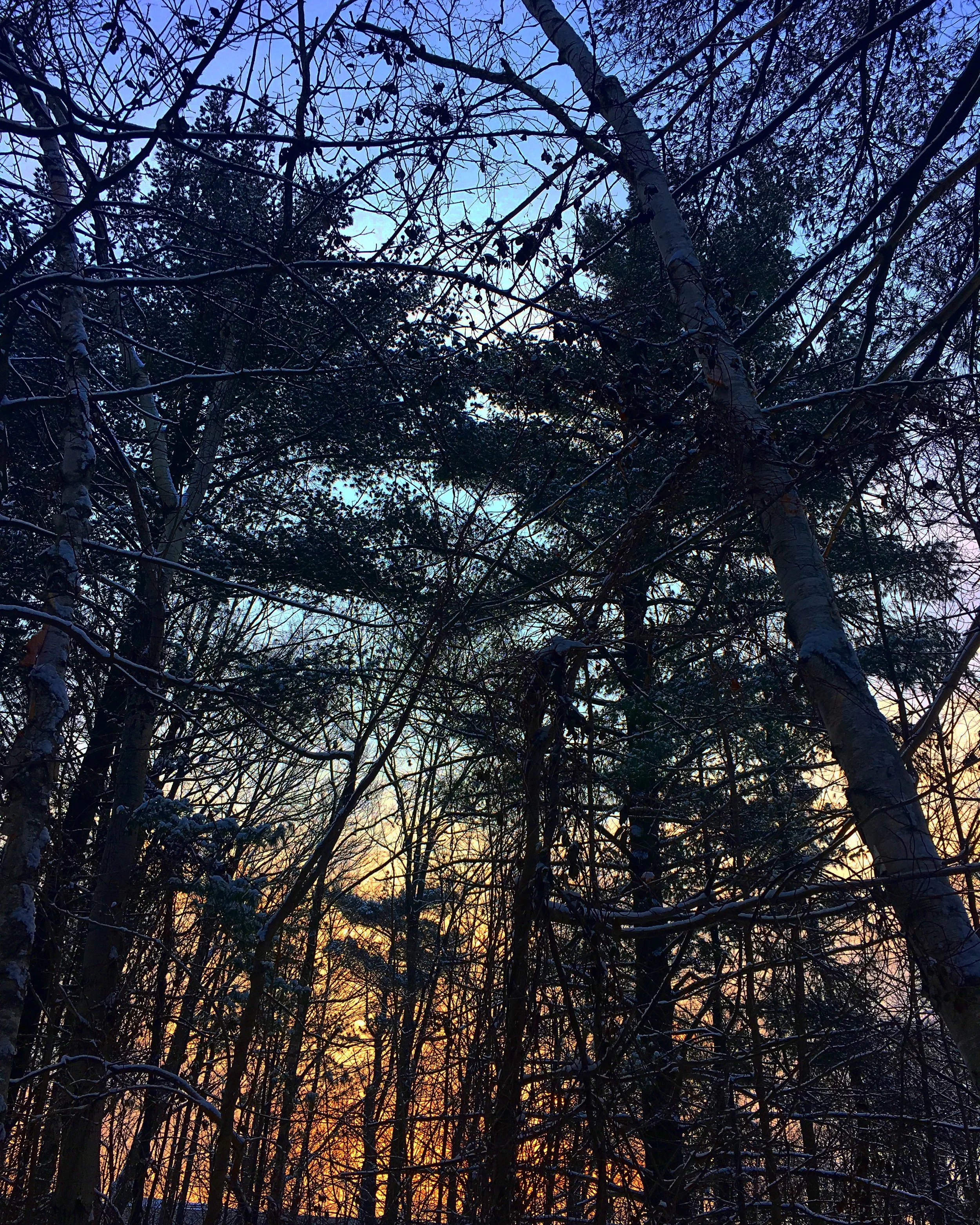 Mississauga, Canada
