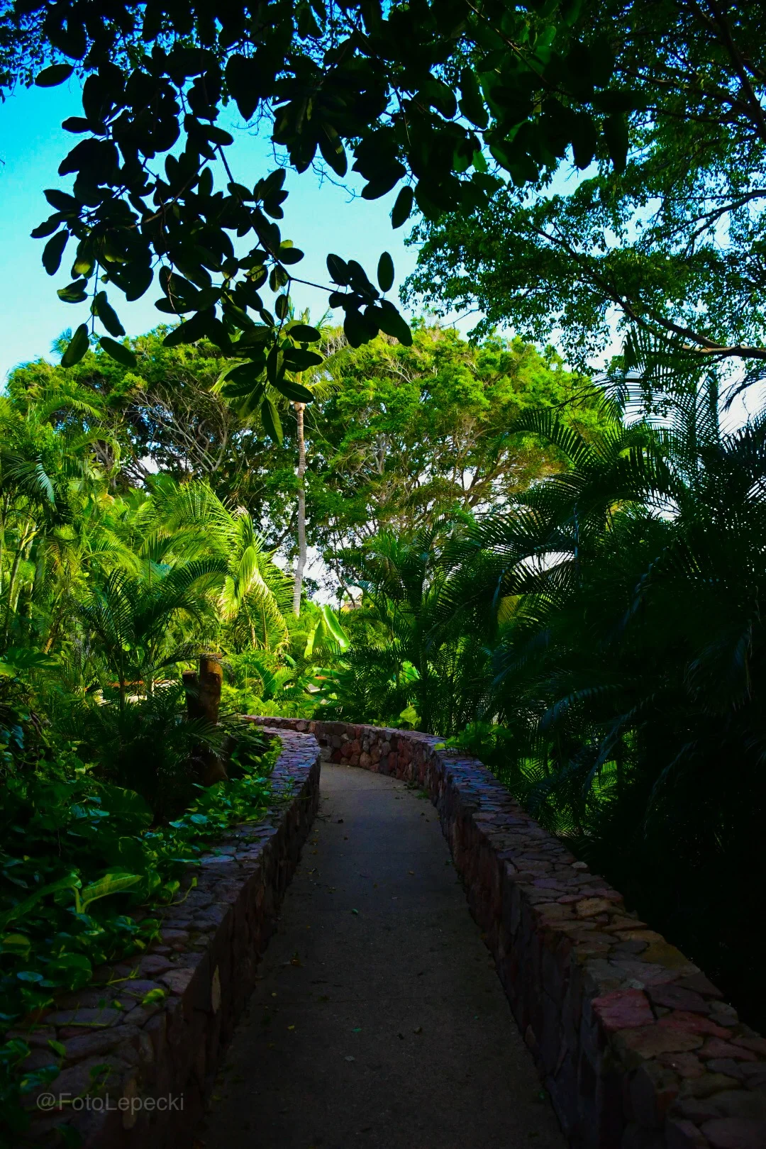 Punta Mita, Mexico (Copy)