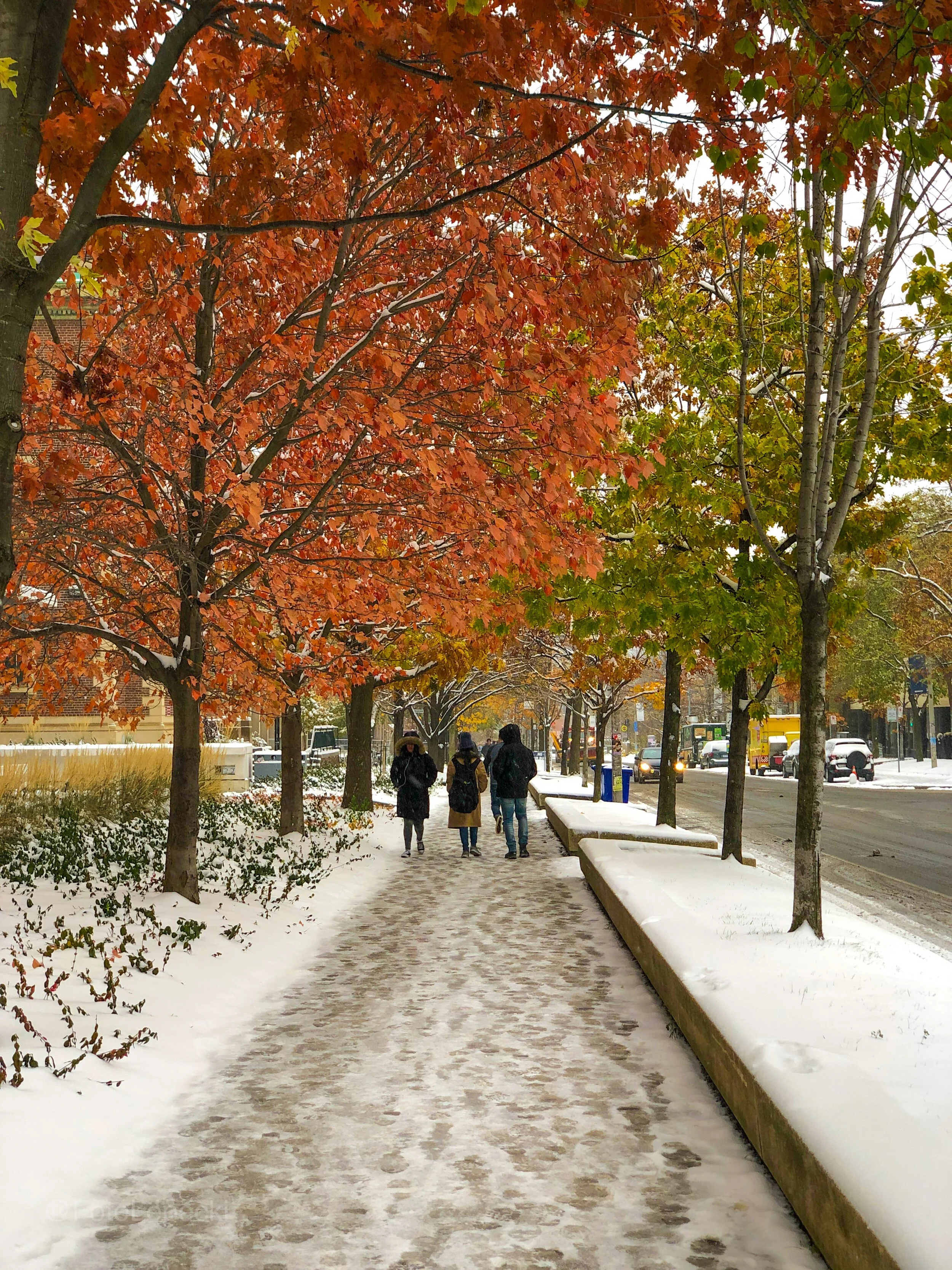 Toronto, Canada (Copy)