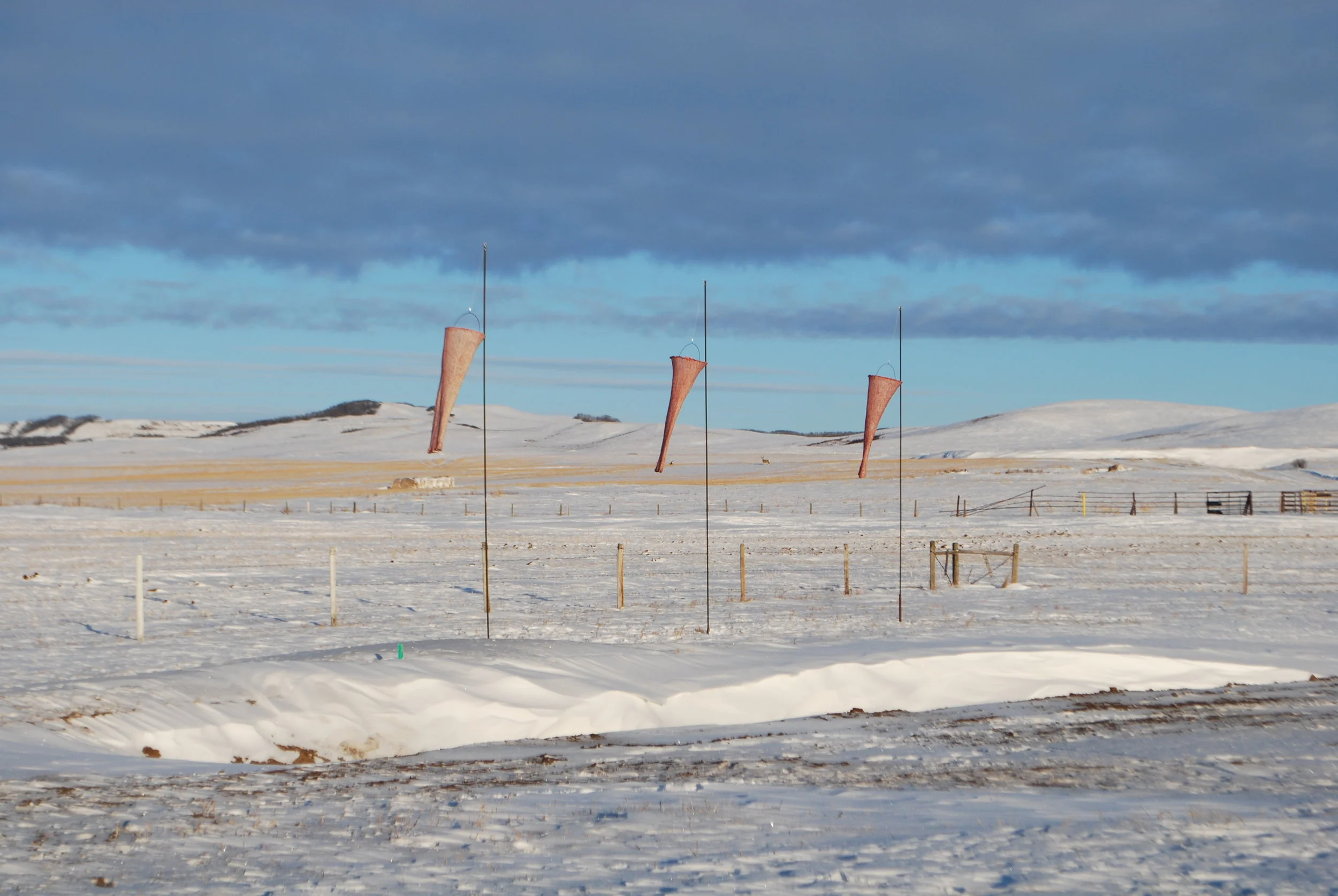 DSC_0215.JPG
