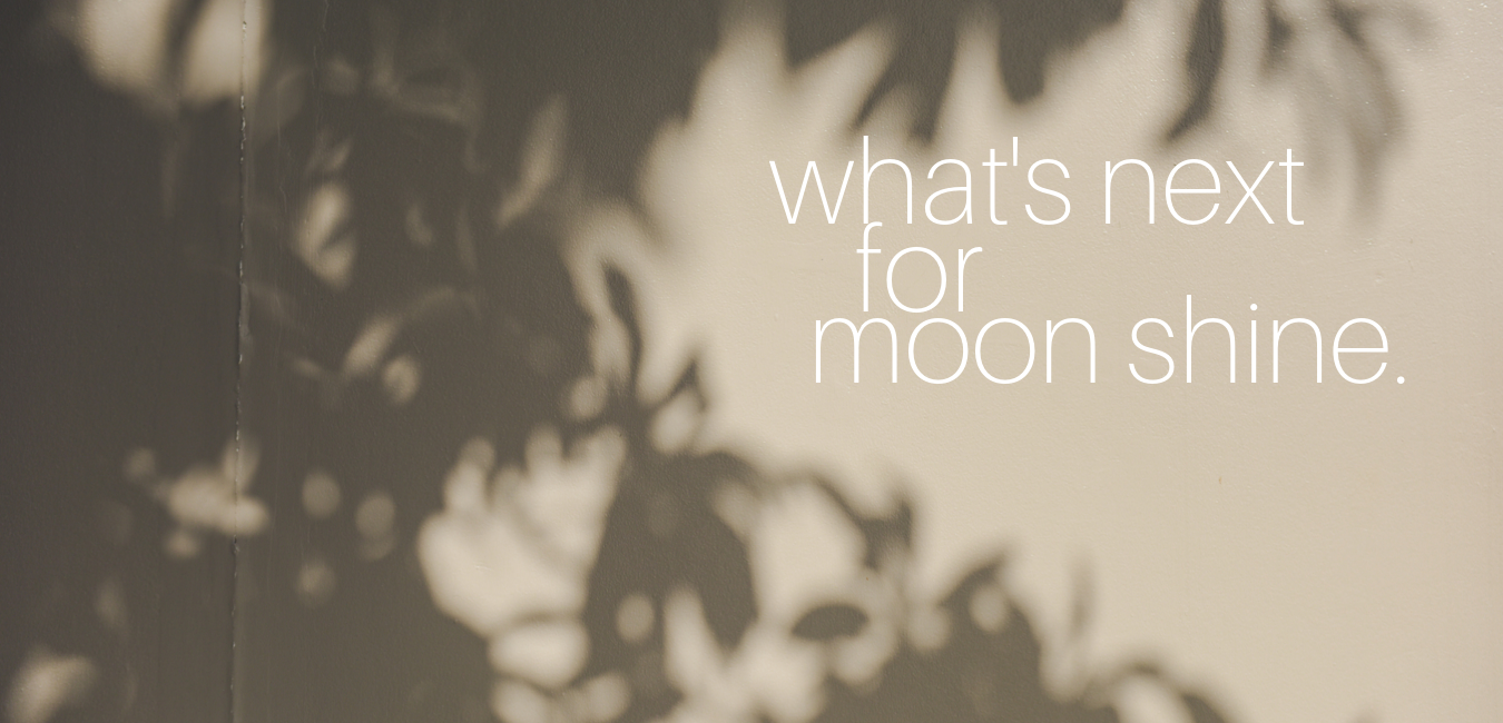linkedin - moon shine graphics.png