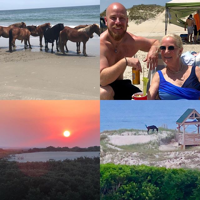 Outer Banks of North Carolina... wild horses on the beach - unsurpassed peace and beauty!
