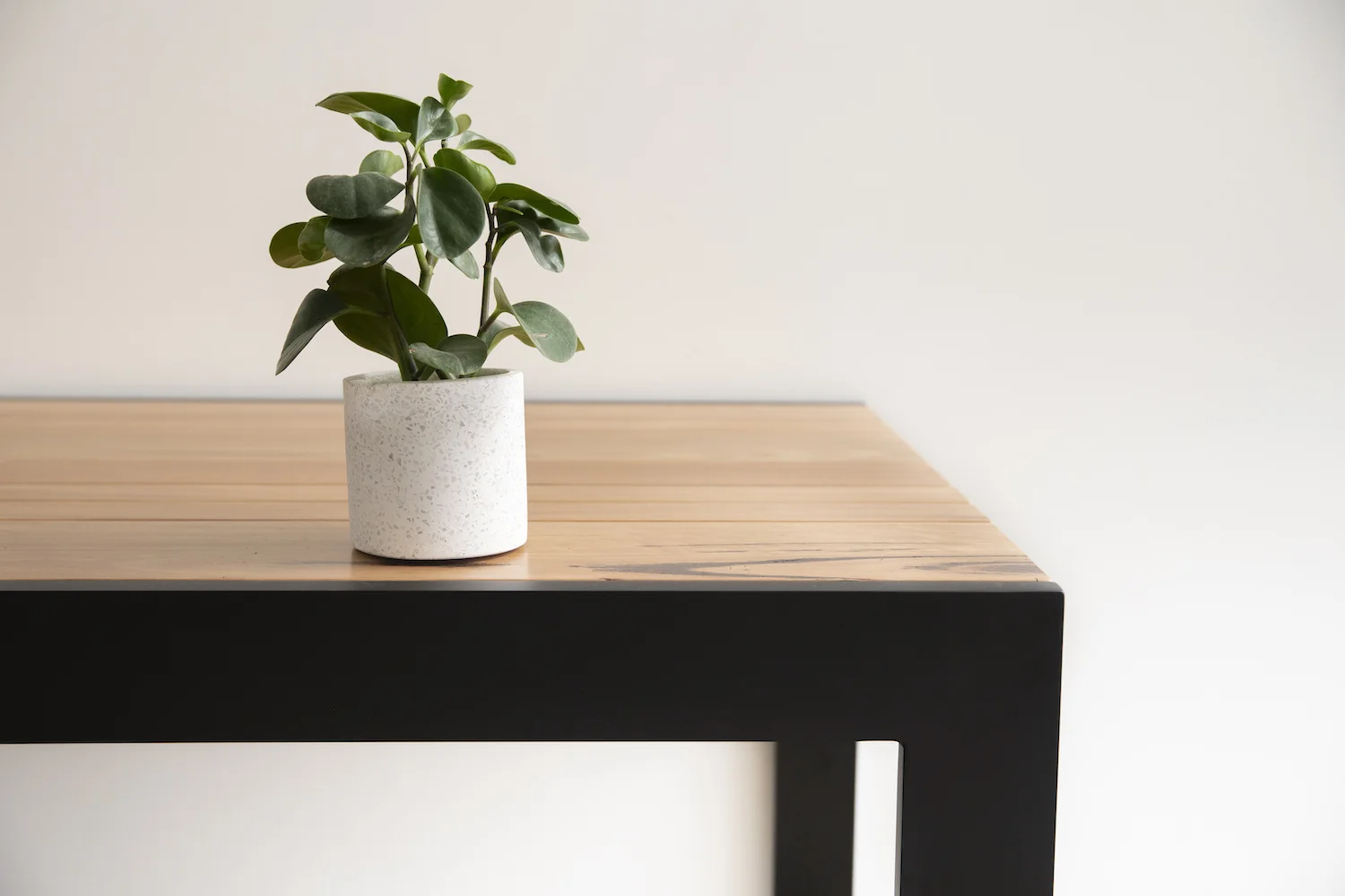 Book A Design Consultation